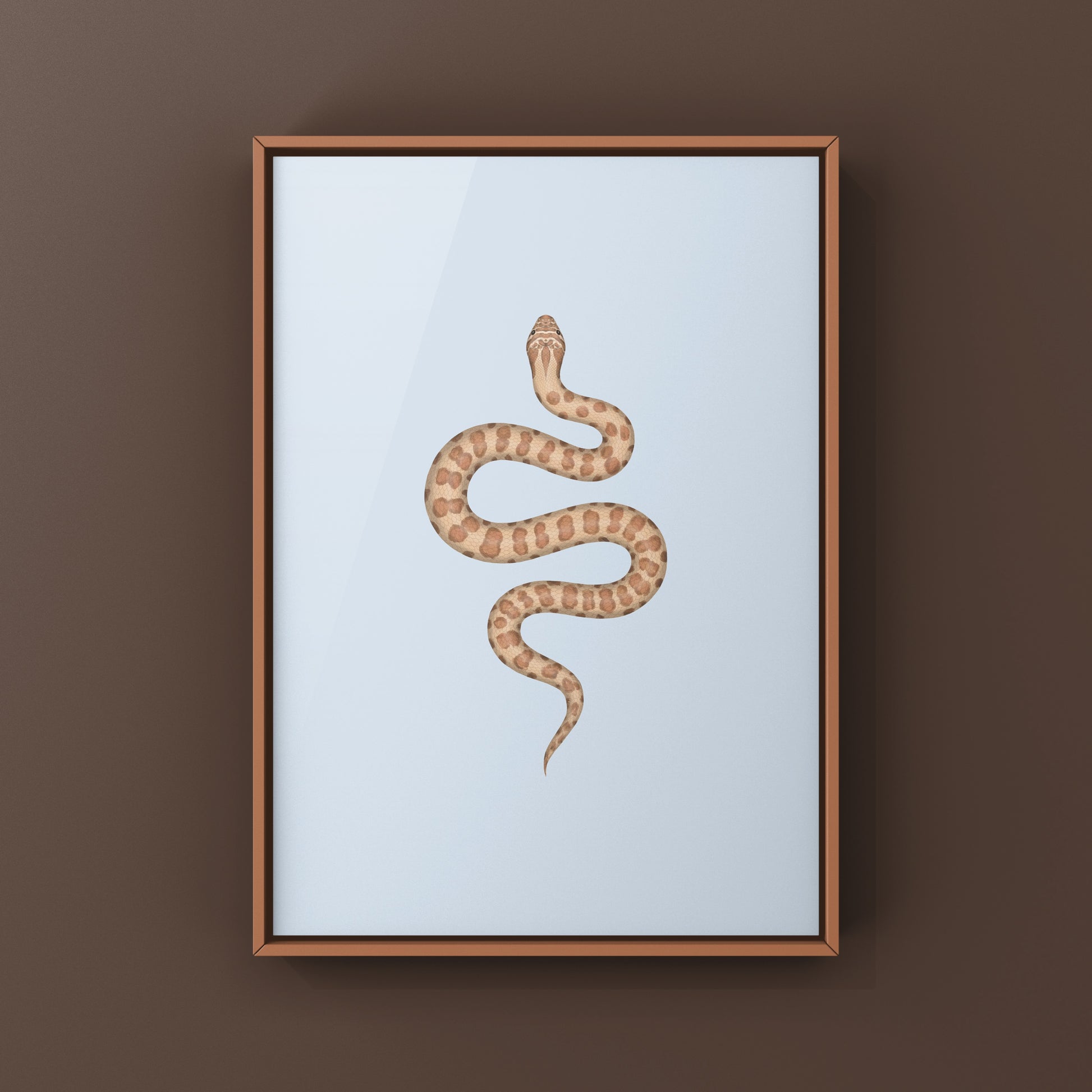 Caramel Western Hognose Snake art print by The Silk Ranch, detailed illustration of the Heterodon nasicus species.