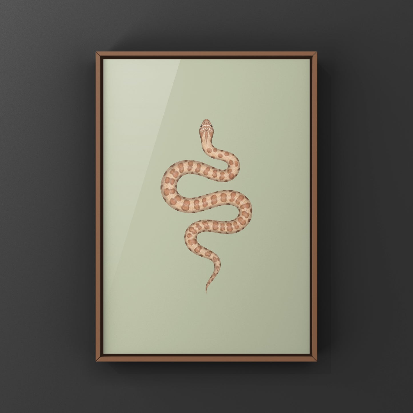 Western Hognose Snake art print featuring a caramel-colored Heterodon nasicus by The Silk Ranch, showcasing detailed snake illustration.