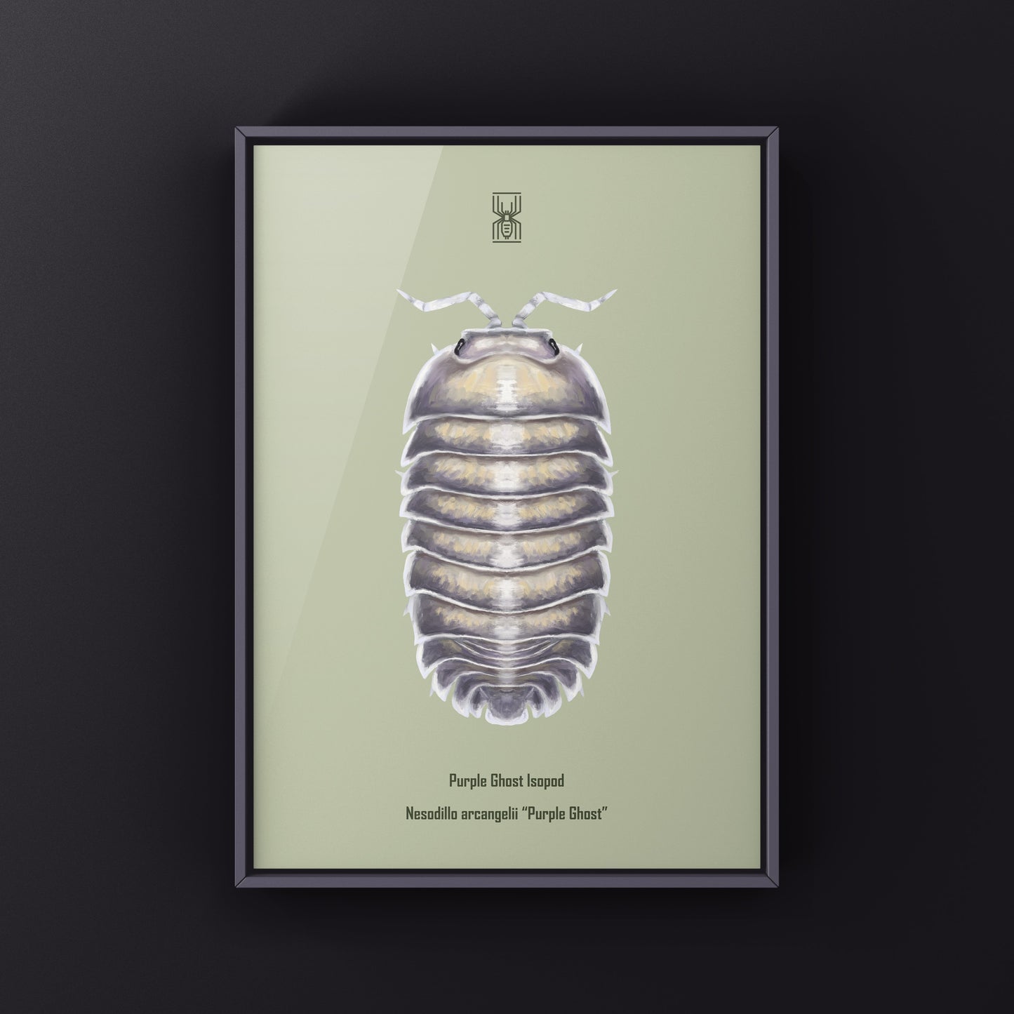 Purple Ghost Isopod art print by The Silk Ranch featuring detailed illustration of Nesodillo arcangelii in vibrant purple tones.
