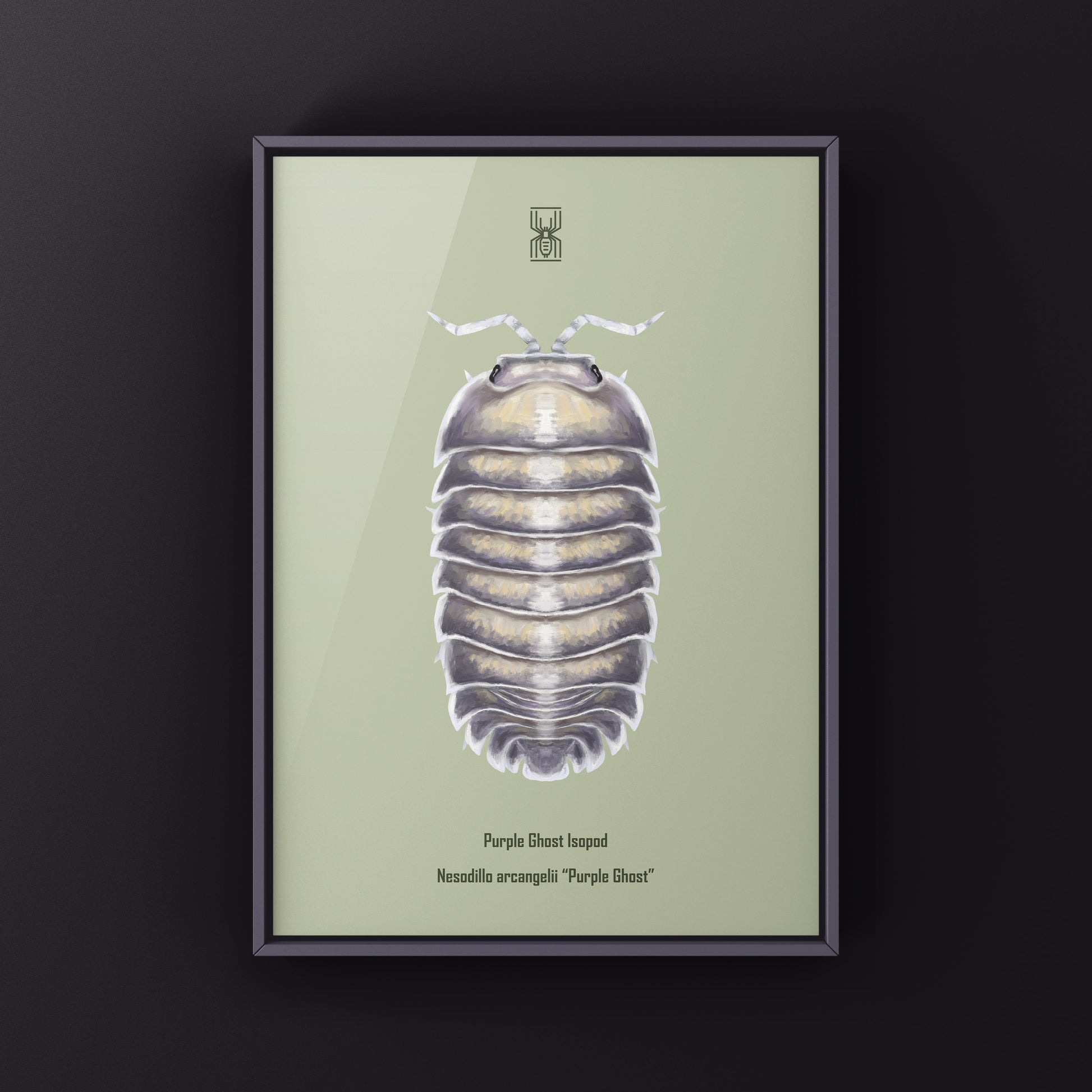 Purple Ghost Isopod art print by The Silk Ranch featuring detailed illustration of Nesodillo arcangelii in vibrant purple tones.