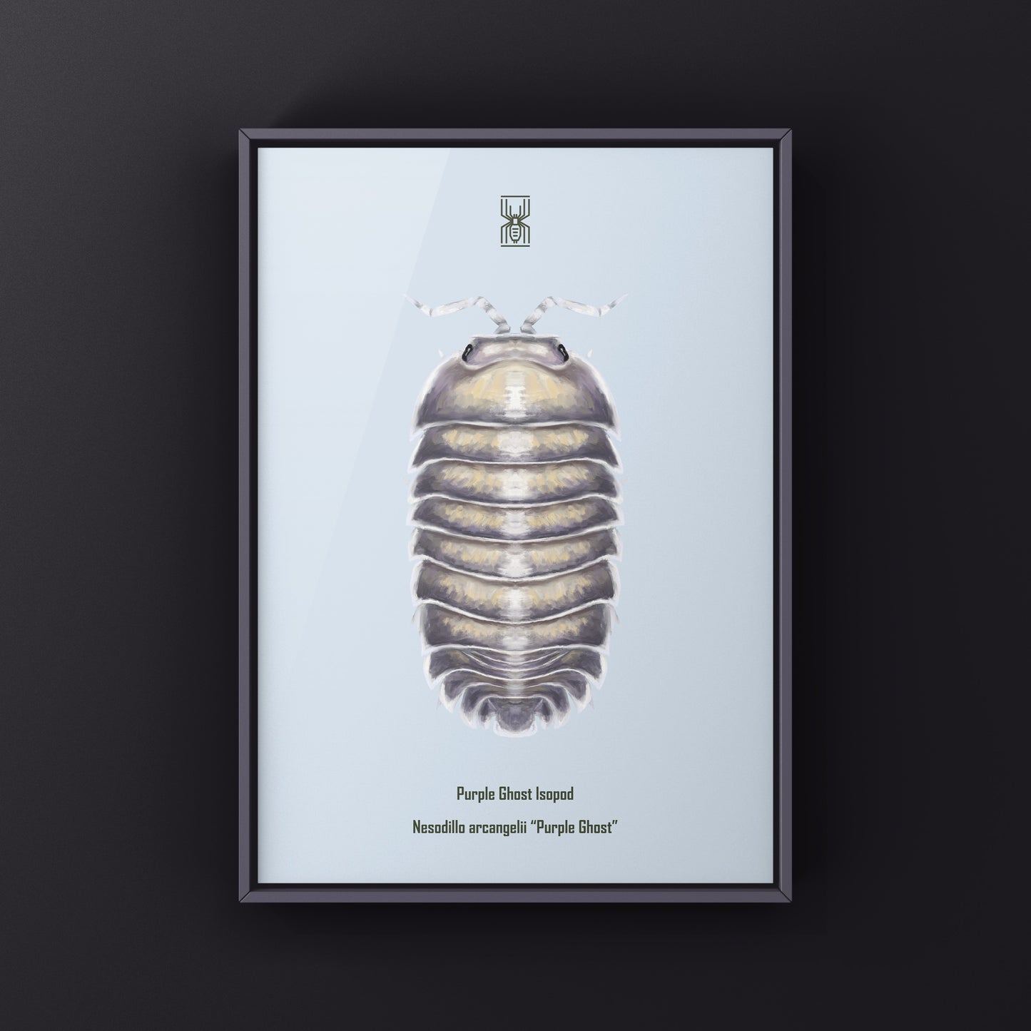 Purple Ghost Isopod art print by The Silk Ranch, featuring detailed illustration of Nesodillo arcangelii on white background.