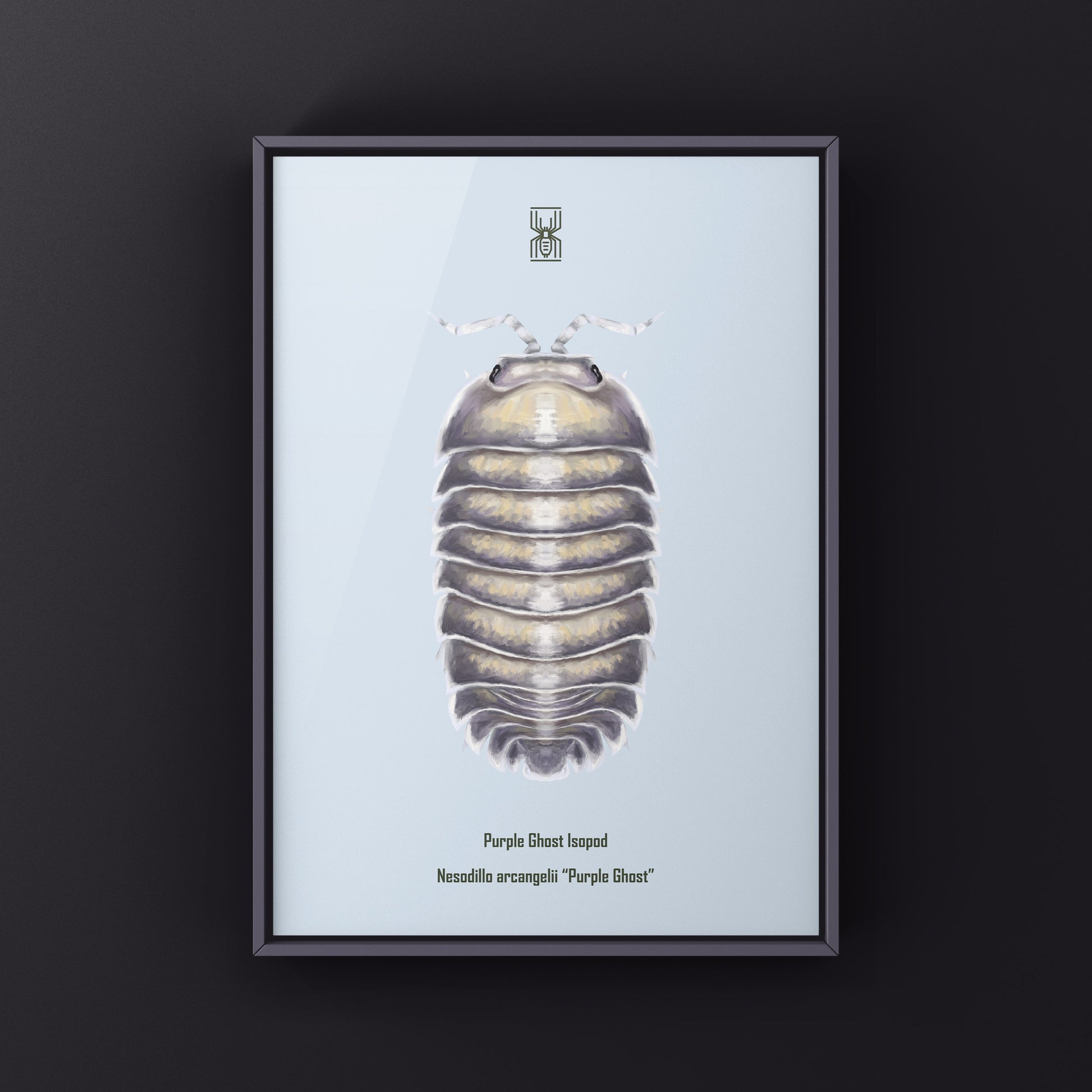 Purple Ghost Isopod art print by The Silk Ranch, featuring detailed illustration of Nesodillo arcangelii on white background.