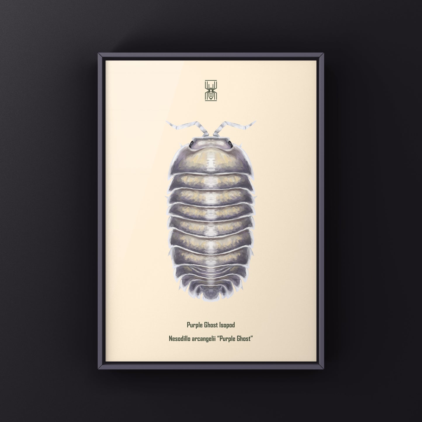 Purple Ghost Isopod art print by The Silk Ranch featuring detailed illustration of Nesodillo arcangelii on white background.