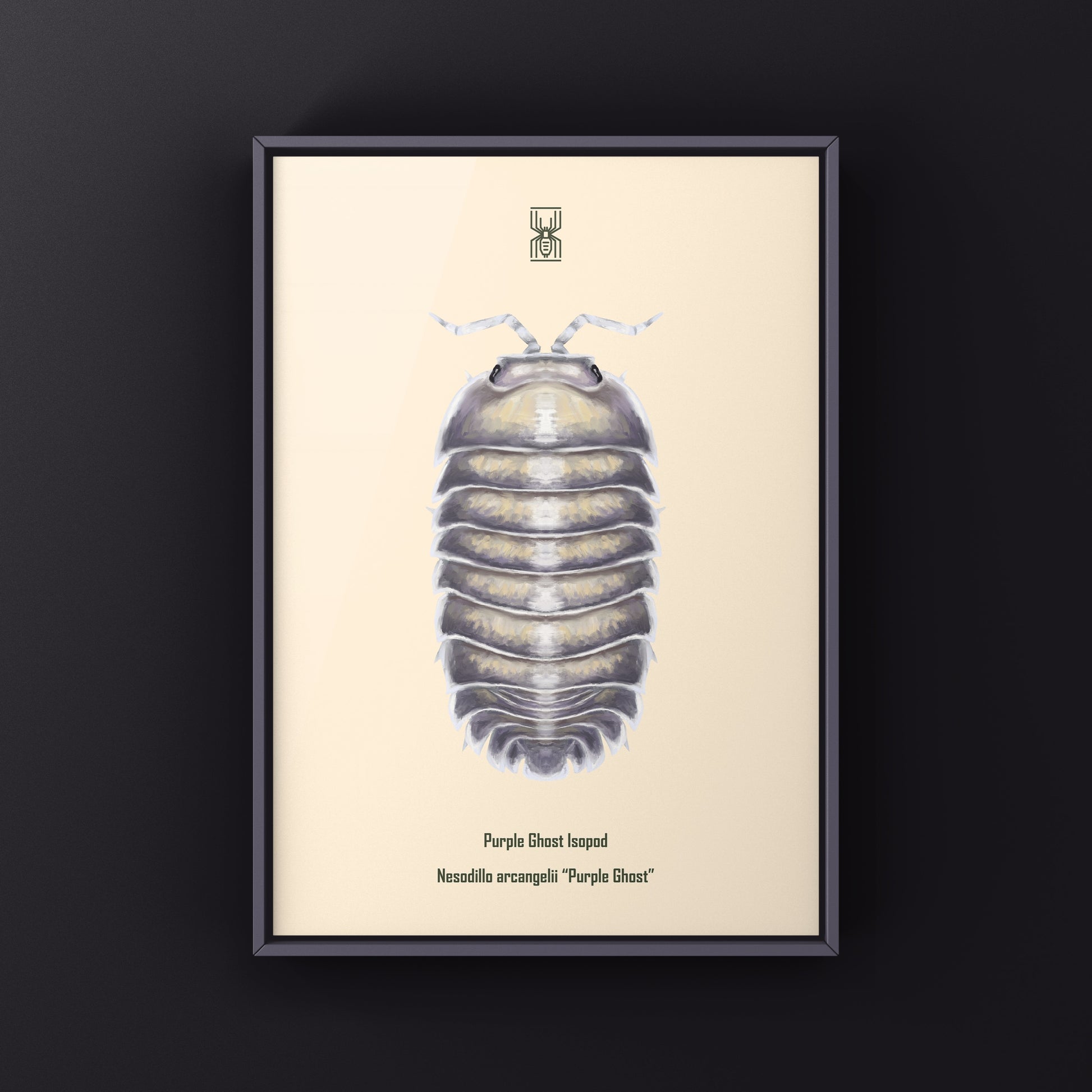 Purple Ghost Isopod art print by The Silk Ranch featuring detailed illustration of Nesodillo arcangelii on white background.