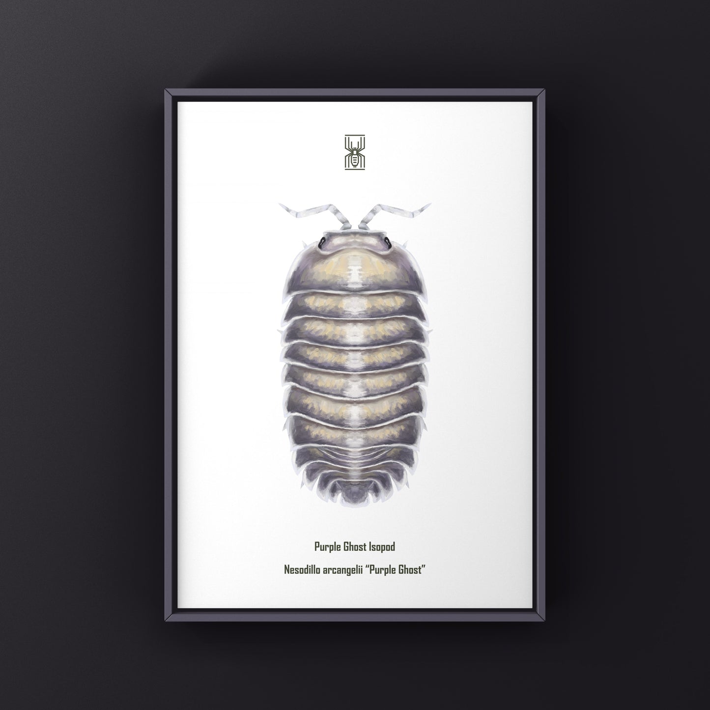 Purple Ghost Isopod art print by The Silk Ranch featuring a detailed illustration of Nesodillo arcangelii "Purple Ghost" on a white background.
