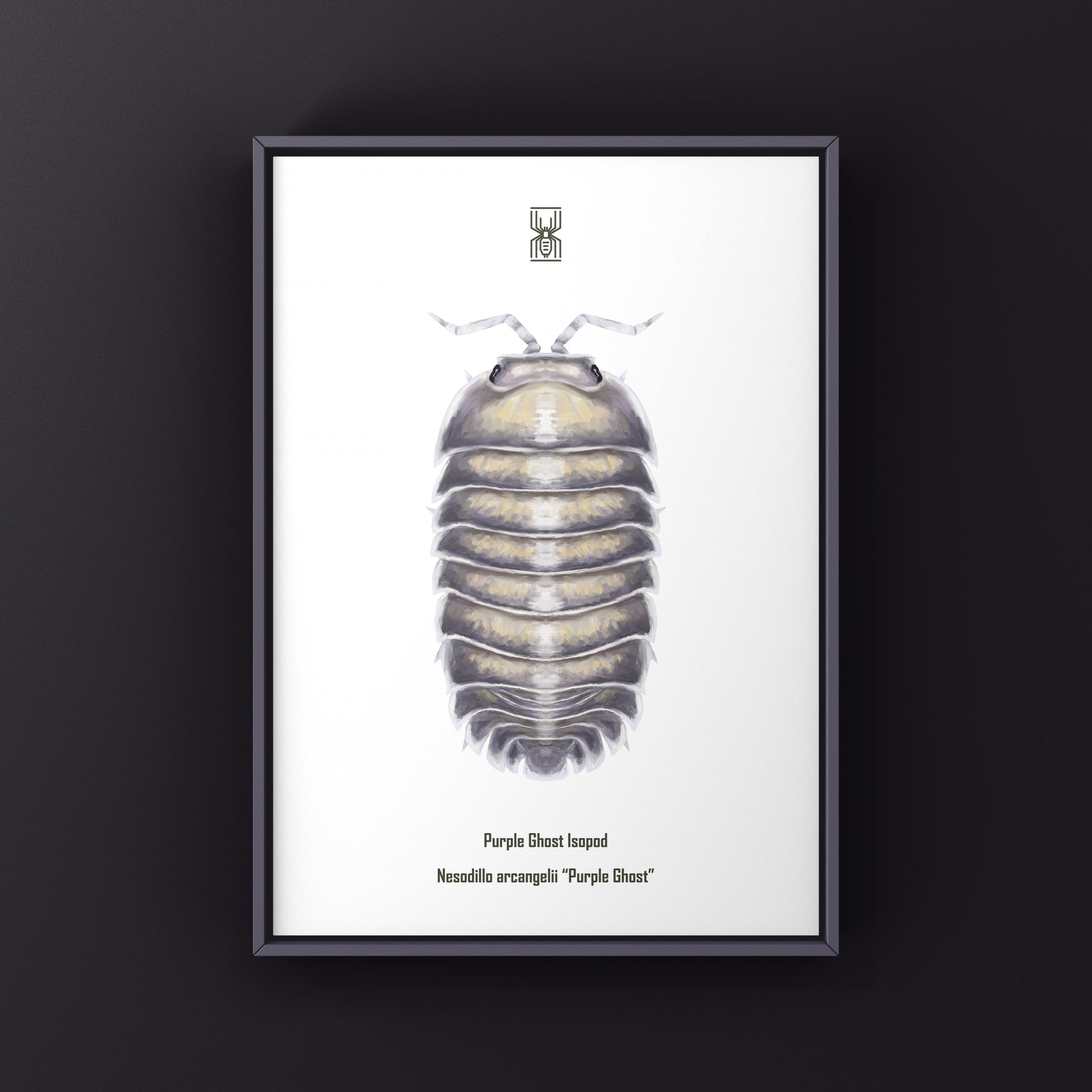 Purple Ghost Isopod art print by The Silk Ranch featuring a detailed illustration of Nesodillo arcangelii "Purple Ghost" on a white background.