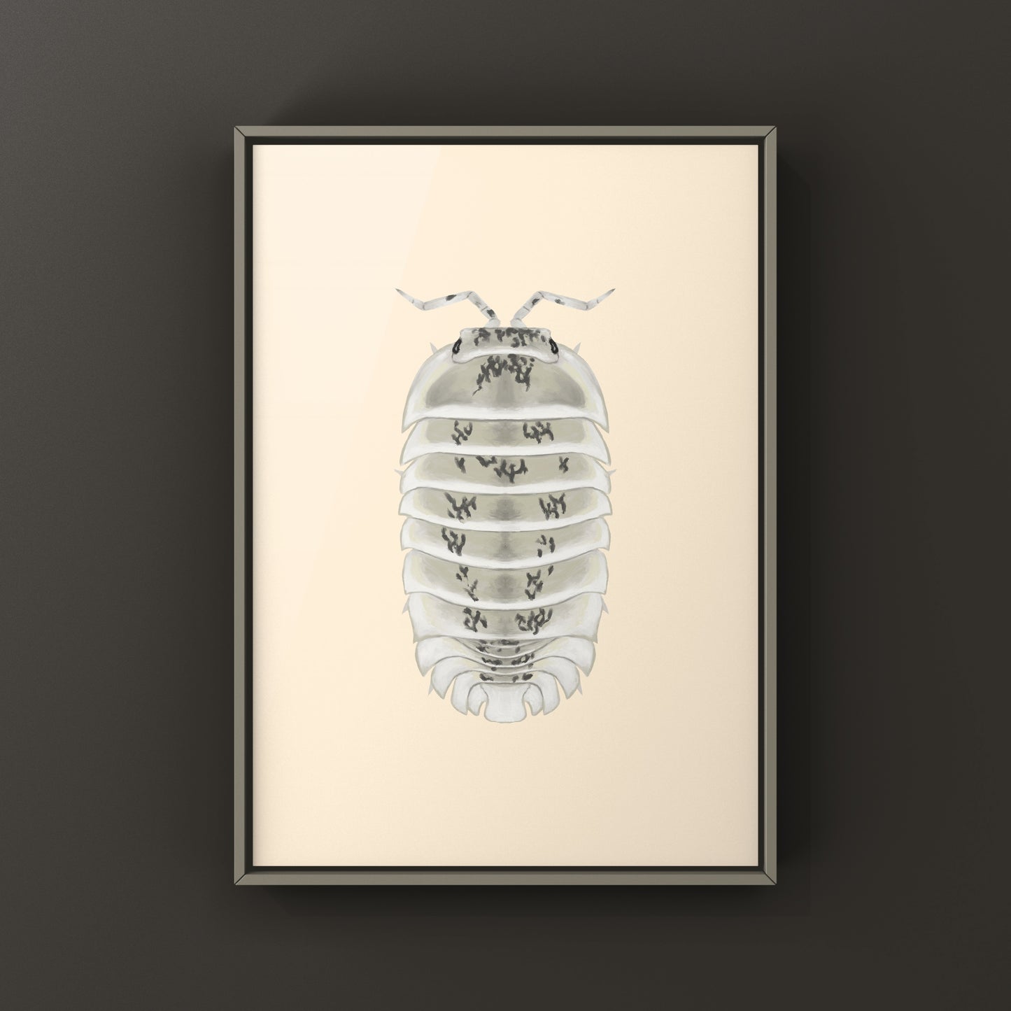 Shiro Utsuri Isopod art print by The Silk Ranch featuring detailed black and white Nesodillo sp. Shiro Utsuri illustration.