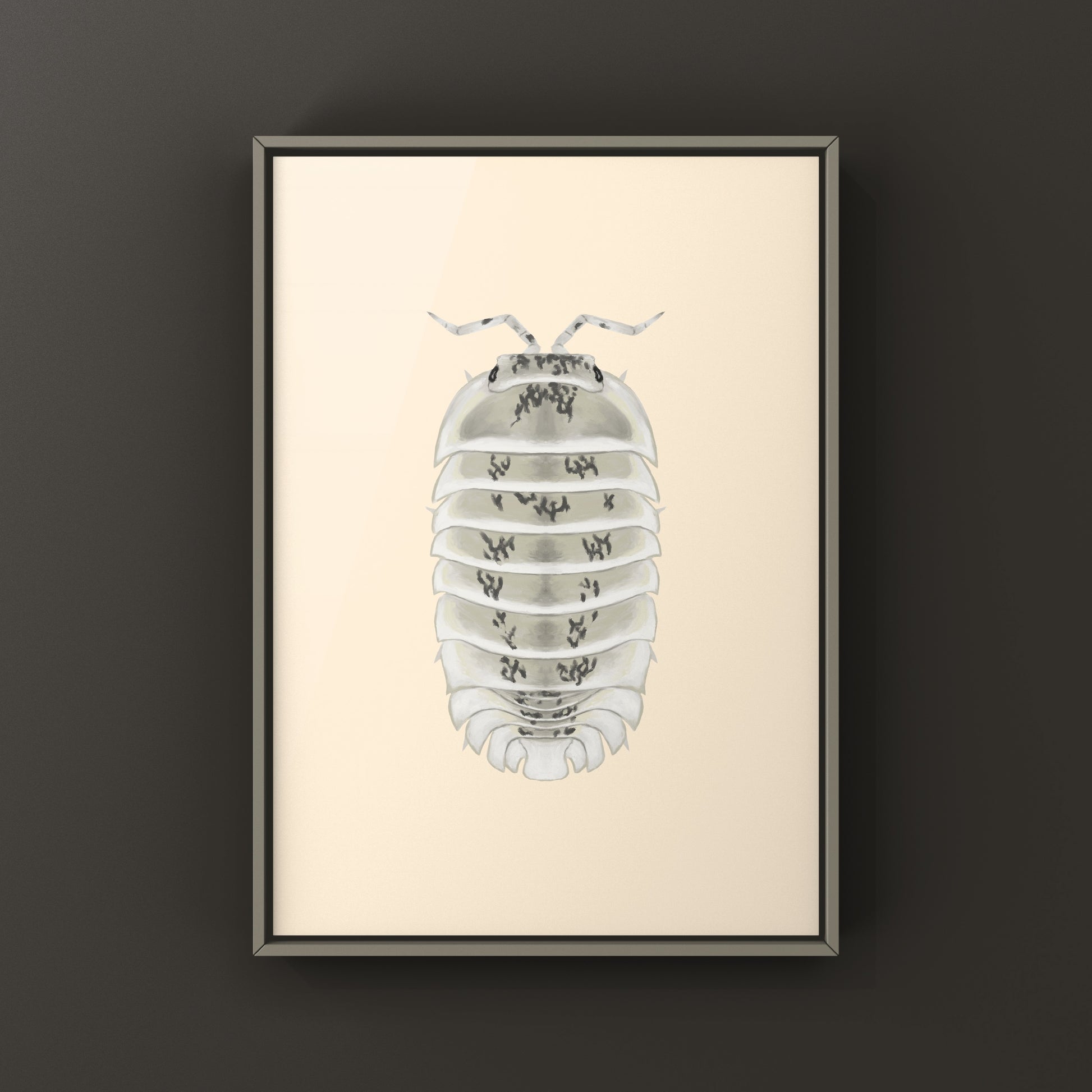 Shiro Utsuri Isopod art print by The Silk Ranch featuring detailed black and white Nesodillo sp. Shiro Utsuri illustration.