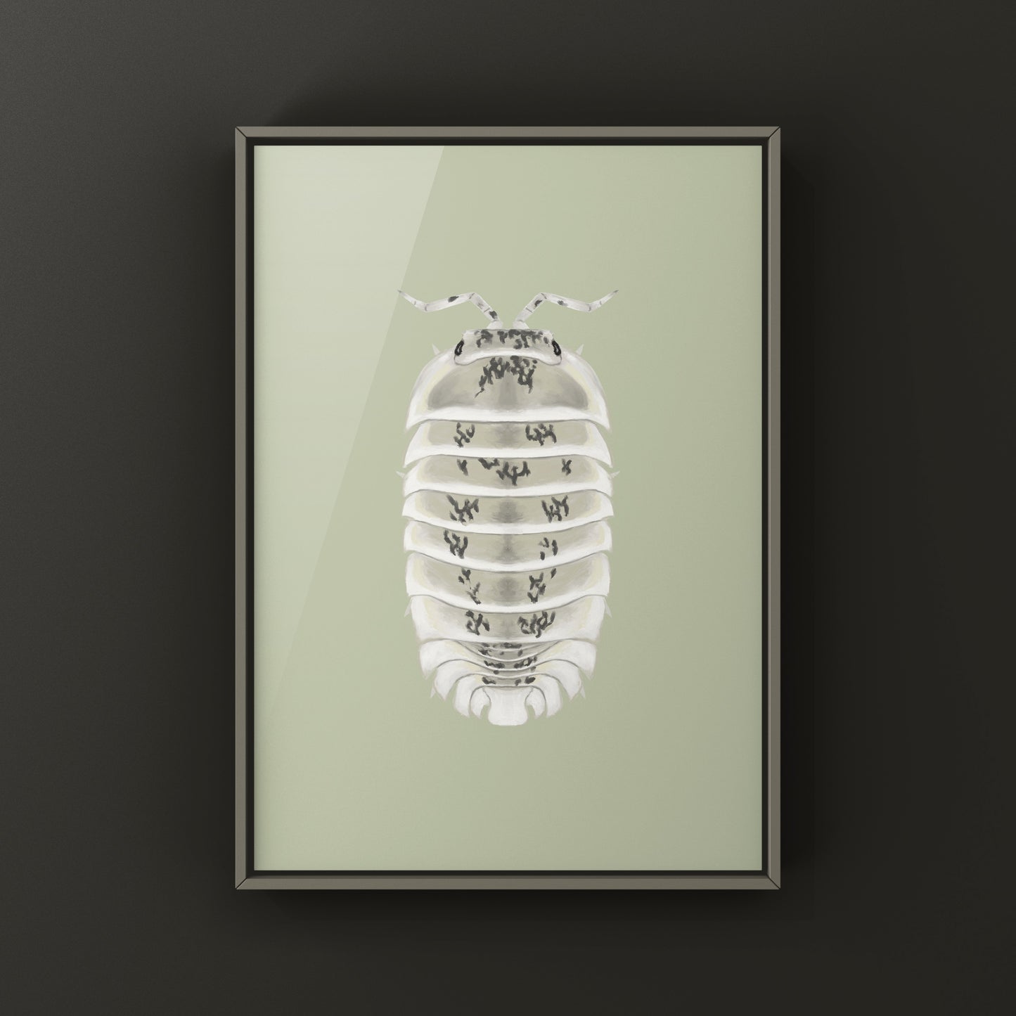 Shiro Utsuri Isopod art print by The Silk Ranch, featuring detailed black and white illustration of Nesodillo sp. Shiro Utsuri.