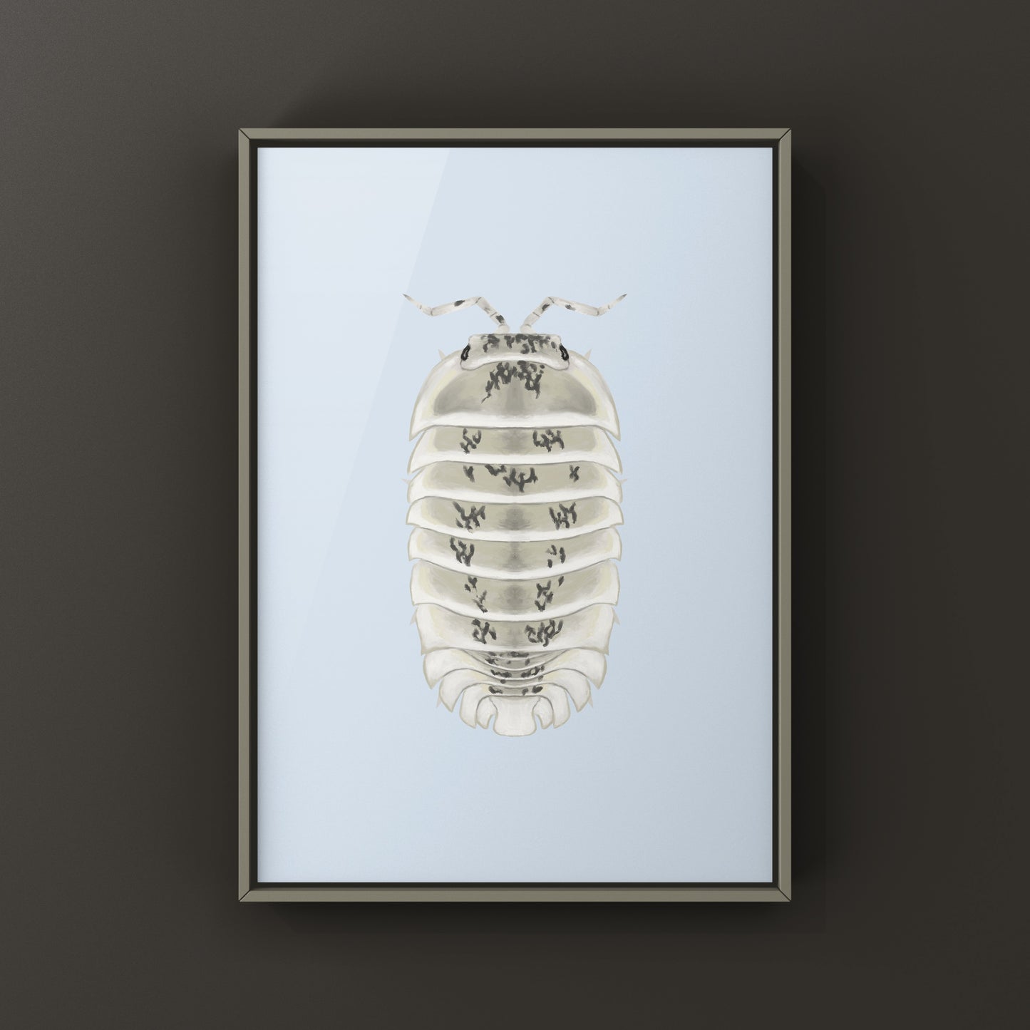 Shiro Utsuri Isopod art print by The Silk Ranch featuring detailed black and white Nesodillo sp. Shiro Utsuri artwork.
