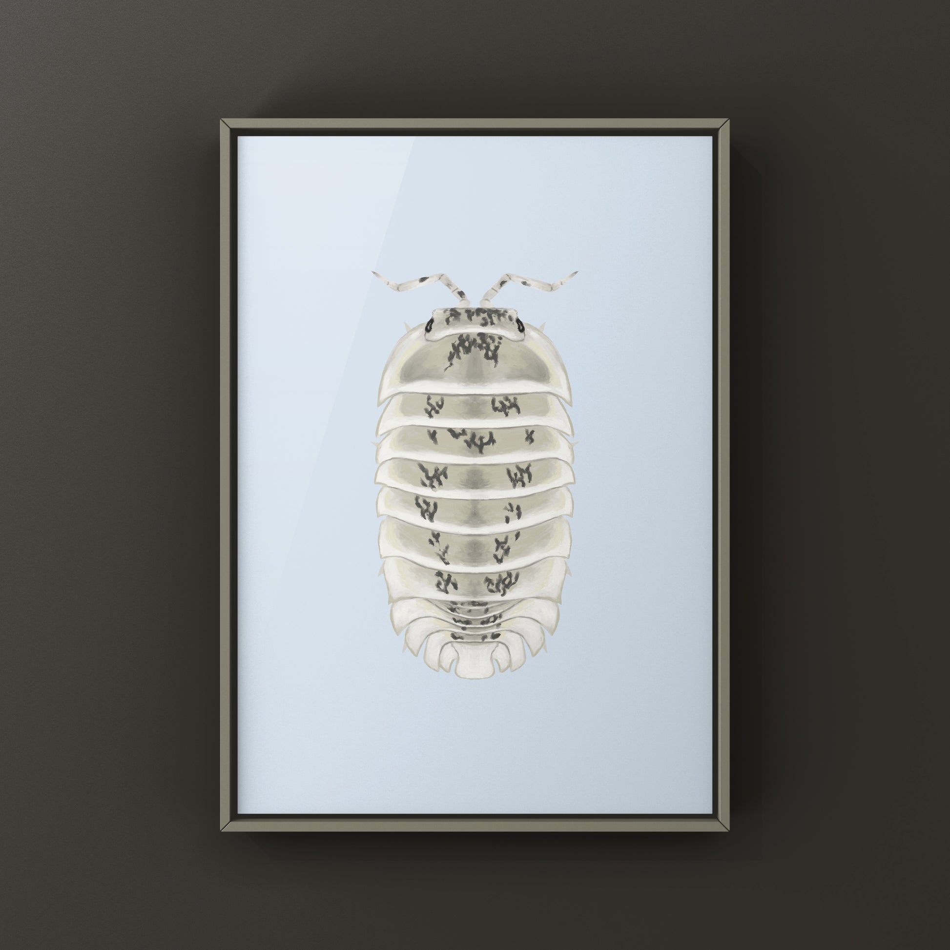 Shiro Utsuri Isopod art print by The Silk Ranch featuring detailed black and white Nesodillo sp. Shiro Utsuri artwork.