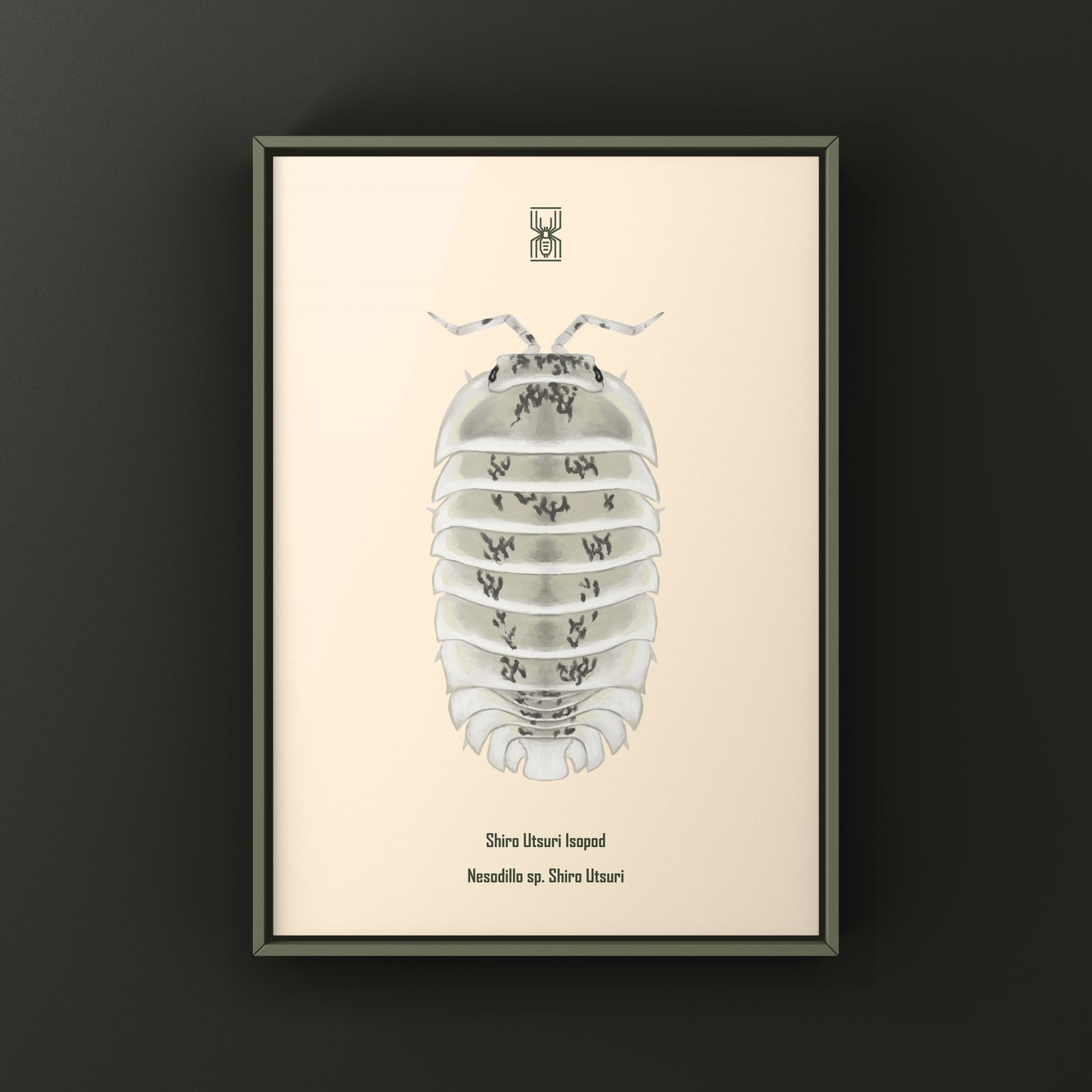 Shiro Utsuri Isopod art print by The Silk Ranch featuring detailed black and white illustration of Nesodillo sp. Shiro Utsuri