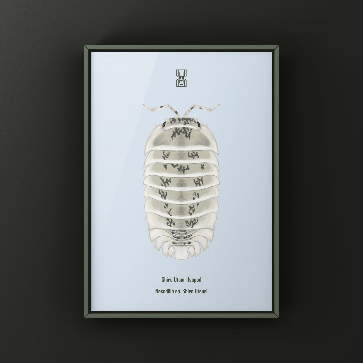 Shiro Utsuri Isopod art print by The Silk Ranch, featuring detailed black and white Nesodillo sp. Shiro Utsuri illustration.