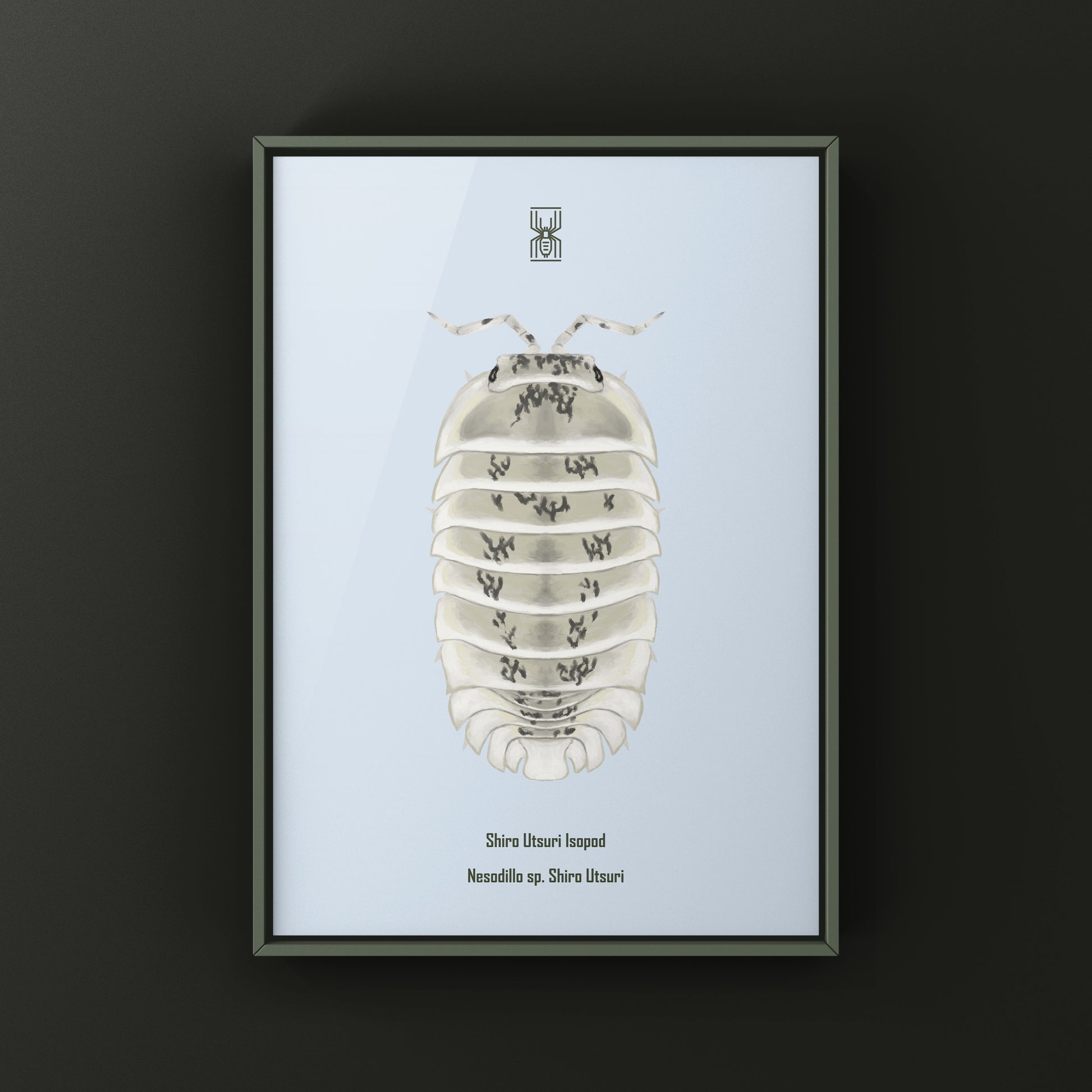 Shiro Utsuri Isopod art print by The Silk Ranch, featuring detailed black and white Nesodillo sp. Shiro Utsuri illustration.
