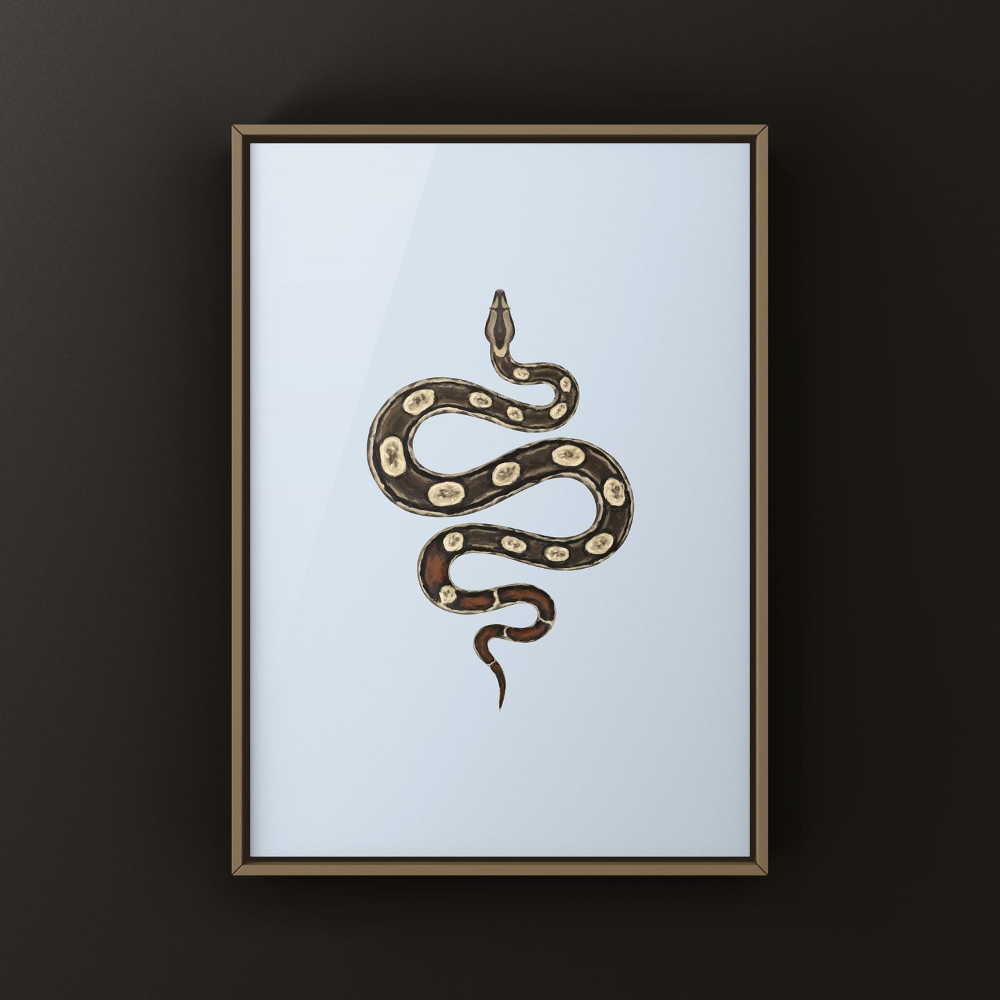Inca Colombian Red Tail Boa art print by The Silk Ranch featuring detailed illustration of Boa imperator with vibrant red tail.