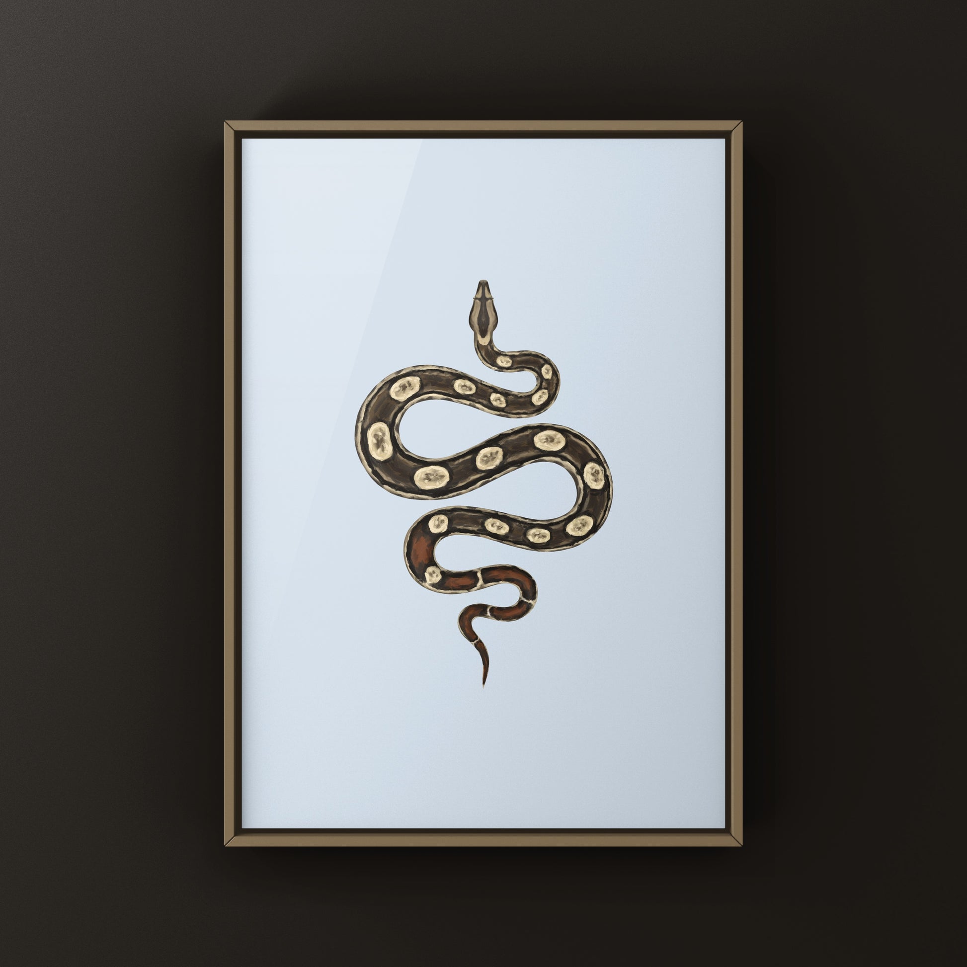 Inca Colombian Red Tail Boa art print by The Silk Ranch featuring detailed illustration of Boa imperator with vibrant red tail.