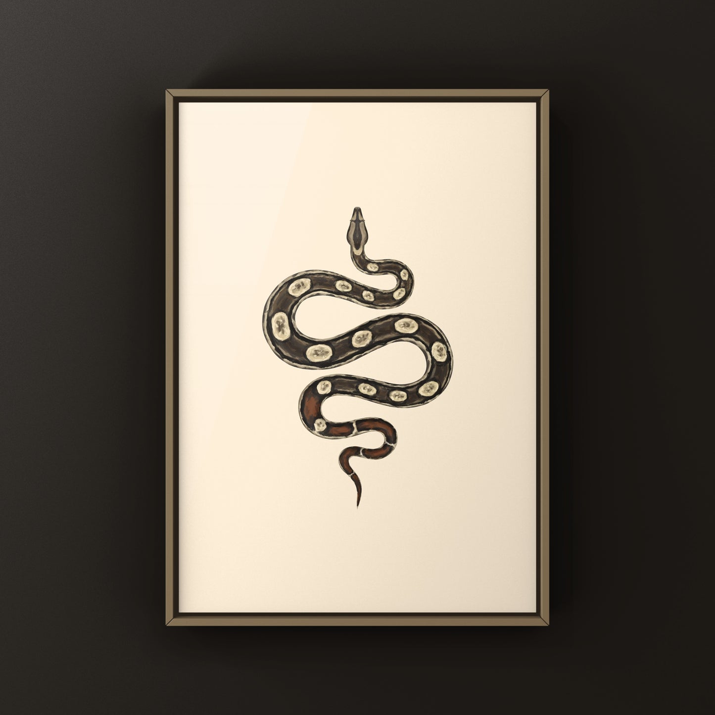 Inca Colombian Red Tail Boa art print showing detailed illustration of Boa imperator with vibrant red tail features.