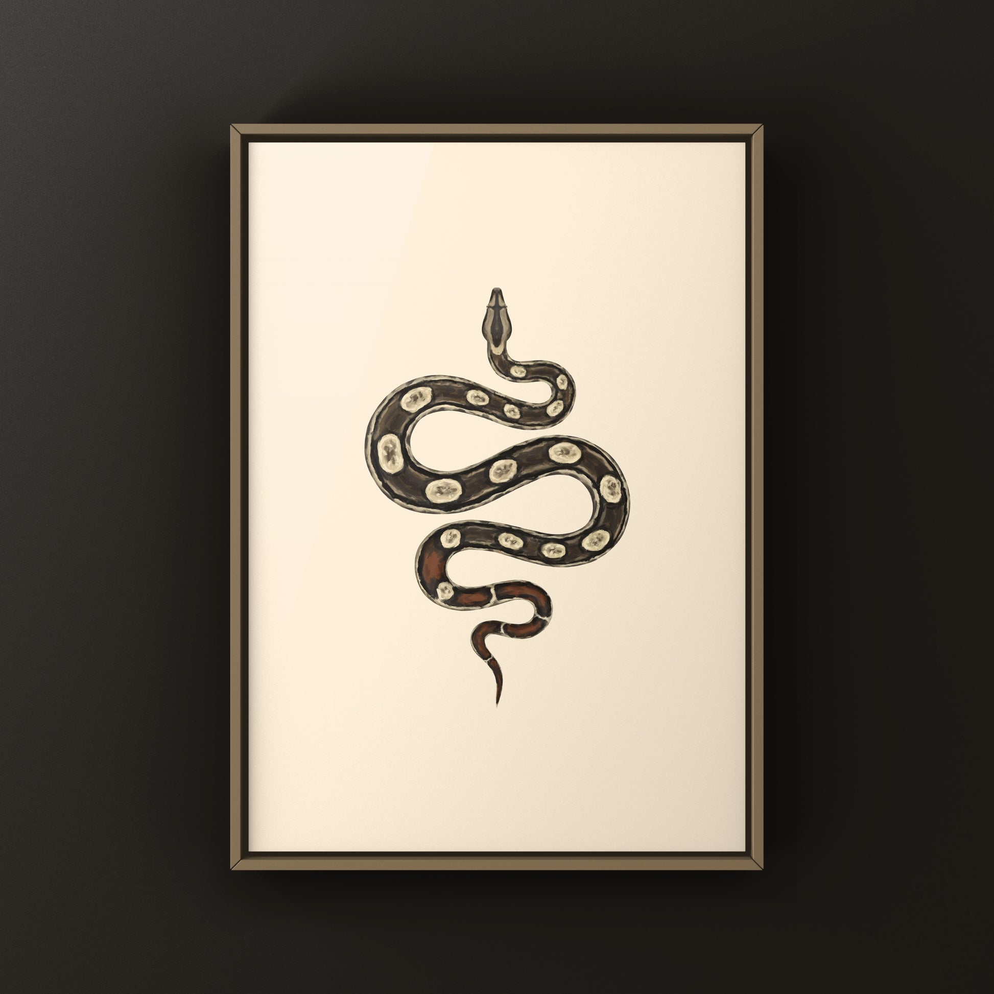 Inca Colombian Red Tail Boa art print showing detailed illustration of Boa imperator with vibrant red tail features.