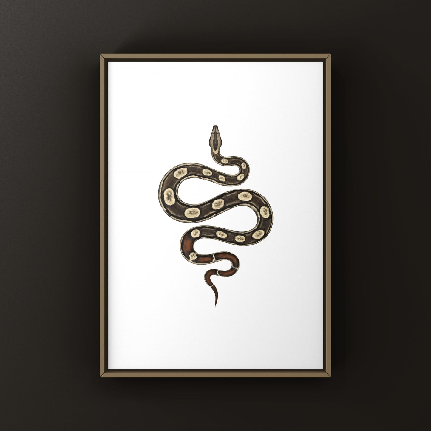 Inca Colombian Red Tail Boa art print by The Silk Ranch showing detailed illustration of Boa imperator with vibrant colors.
