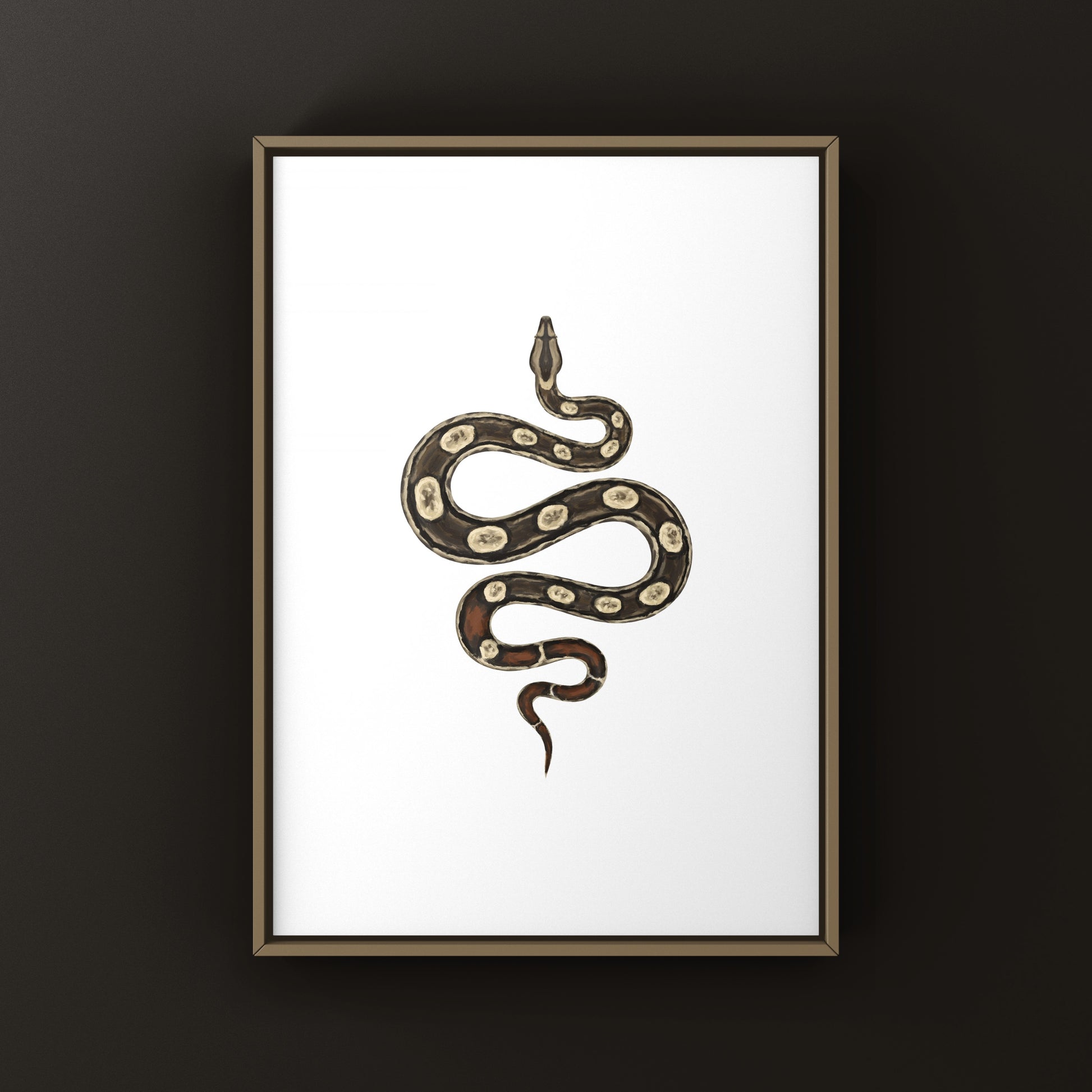 Inca Colombian Red Tail Boa art print by The Silk Ranch showing detailed illustration of Boa imperator with vibrant colors.