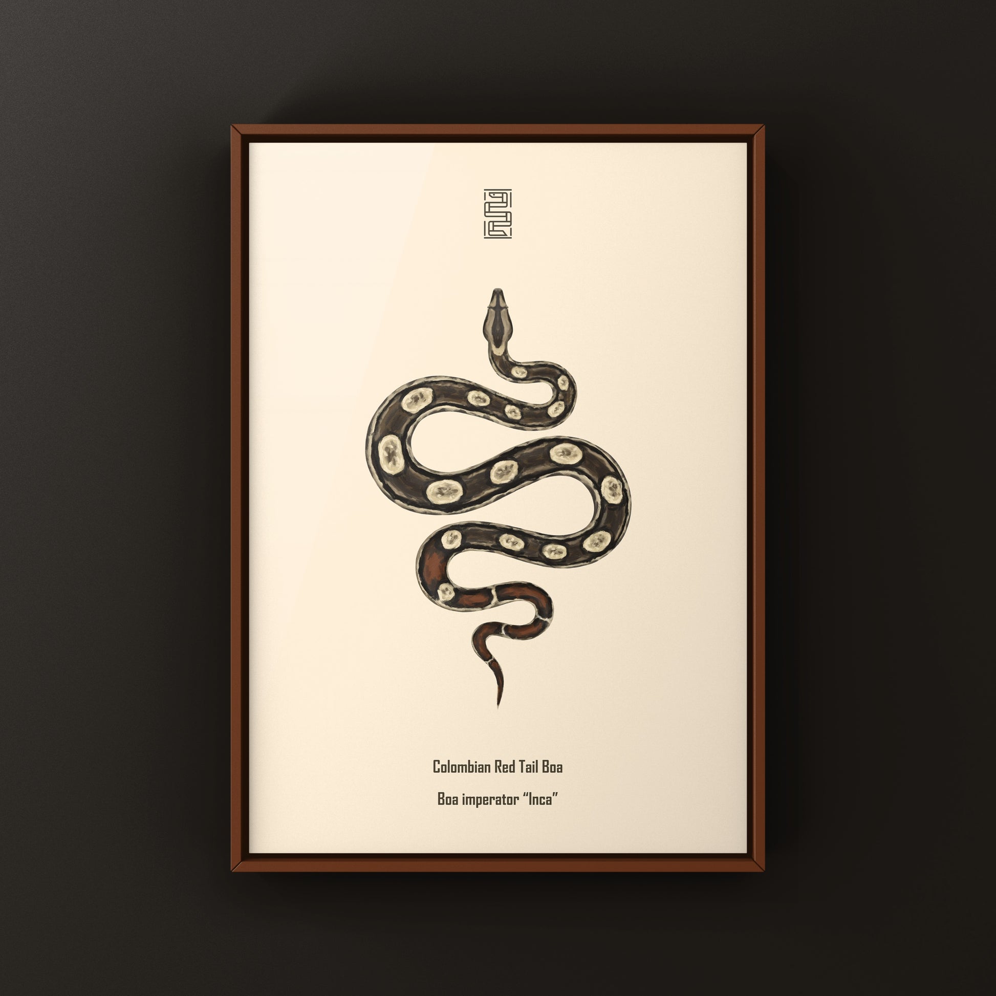 Inca Colombian Red Tail Boa art print by The Silk Ranch showing detailed depiction of Boa imperator with vibrant colors.