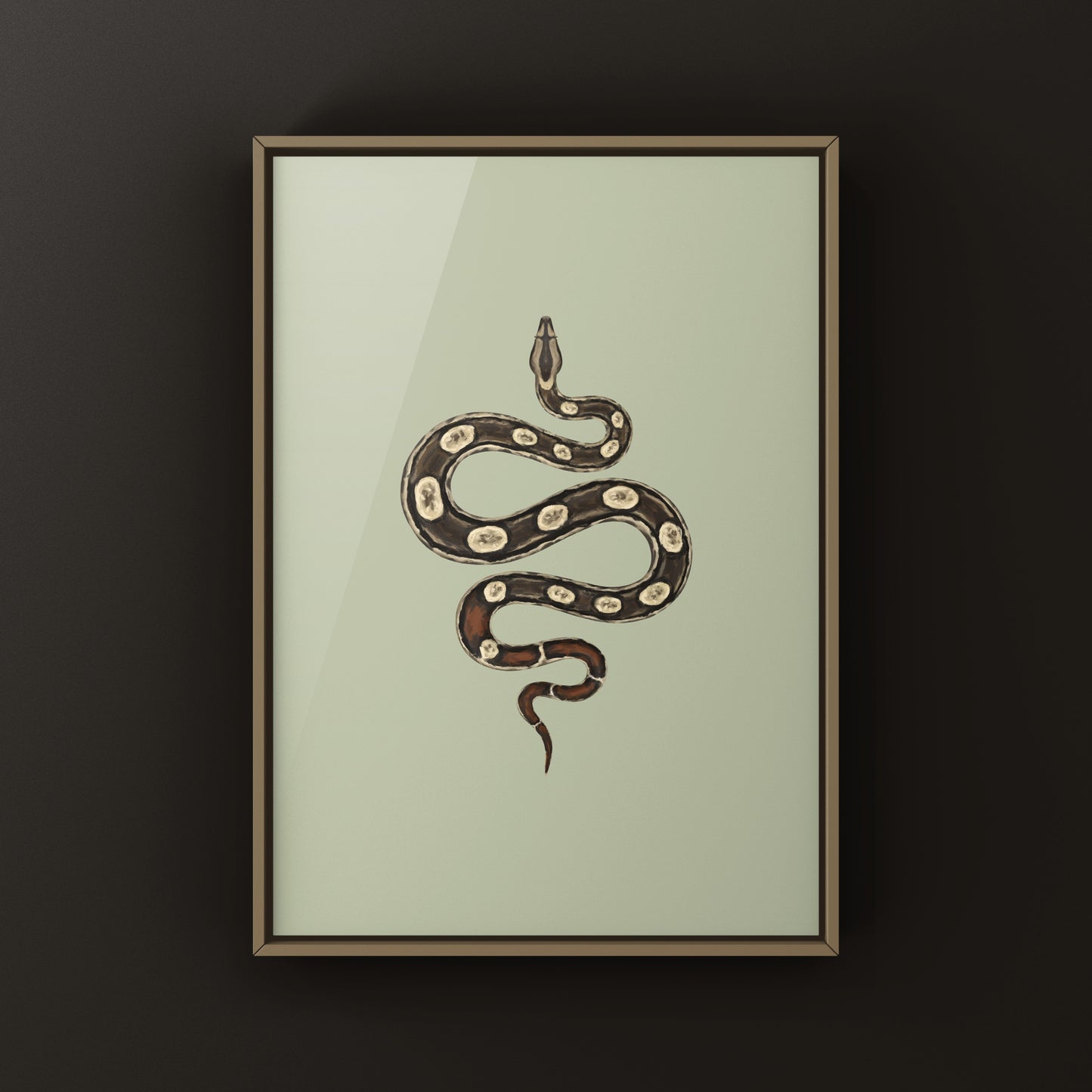 Colombian Red Tail Boa art print by The Silk Ranch showing a detailed illustration of a Boa imperator in vibrant red and brown tones.