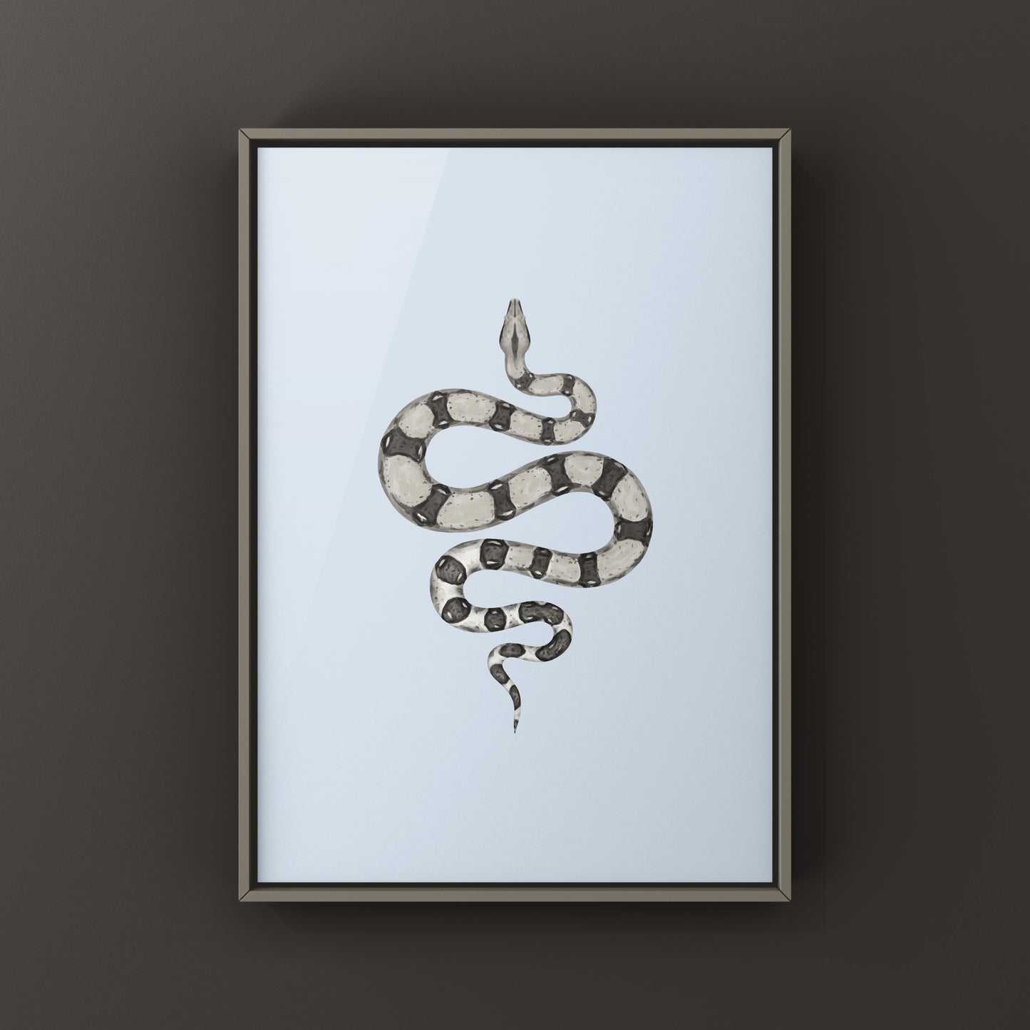 Anerythristic Colombian Red Tail Boa art print by The Silk Ranch depicting a Boa imperator with striking gray and black coloration.