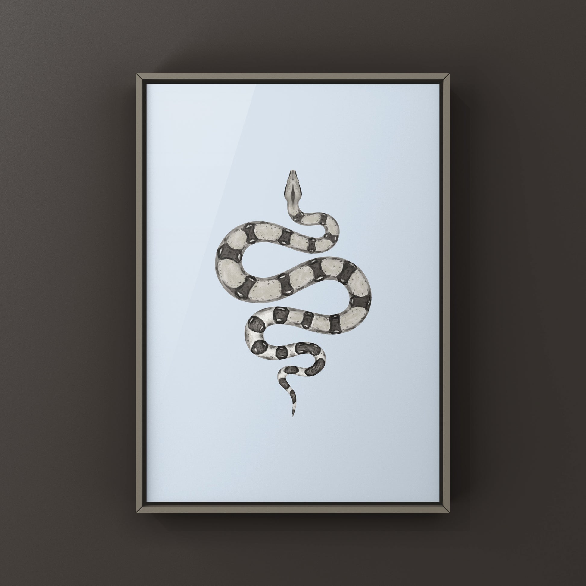 Anerythristic Colombian Red Tail Boa art print by The Silk Ranch depicting a Boa imperator with striking gray and black coloration.
