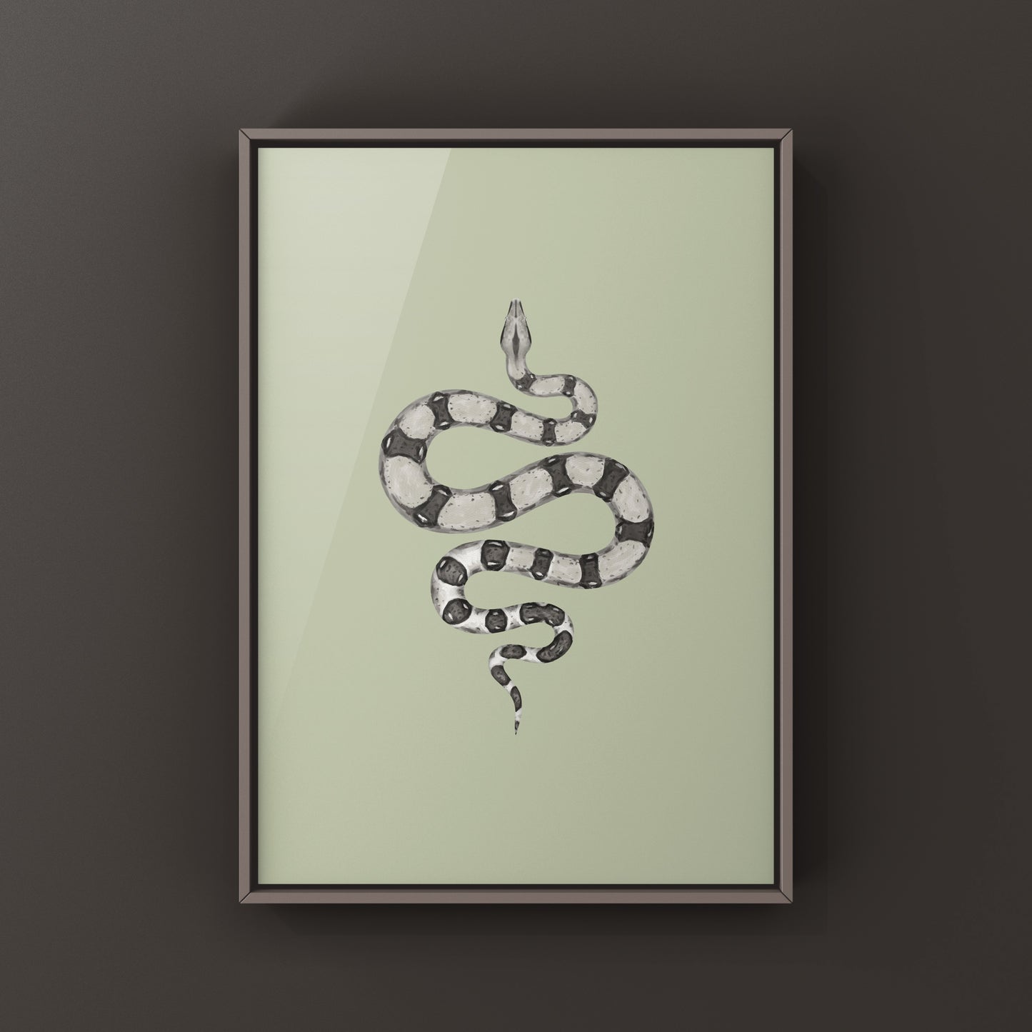 Anerythristic Colombian Red Tail Boa art print by The Silk Ranch showing detailed illustrations of the boa imperator snake.