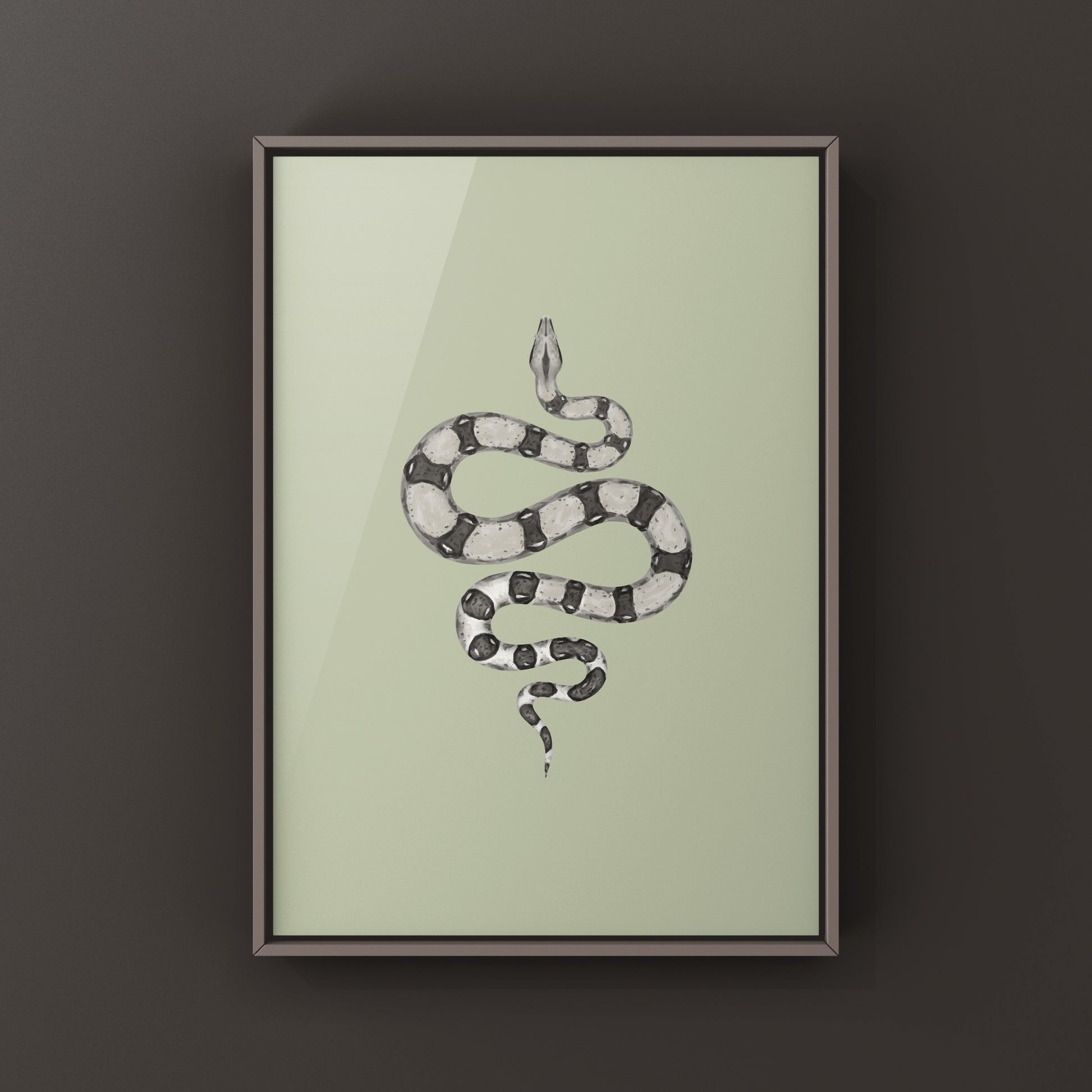 Anerythristic Colombian Red Tail Boa art print by The Silk Ranch showing detailed illustrations of the boa imperator snake.