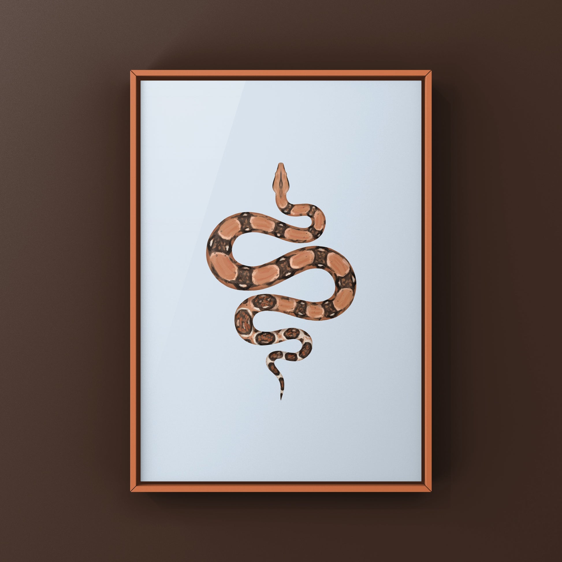 Colombian Red Tail Boa art print featuring a boa imperator snake with vibrant red tail and detailed natural background.