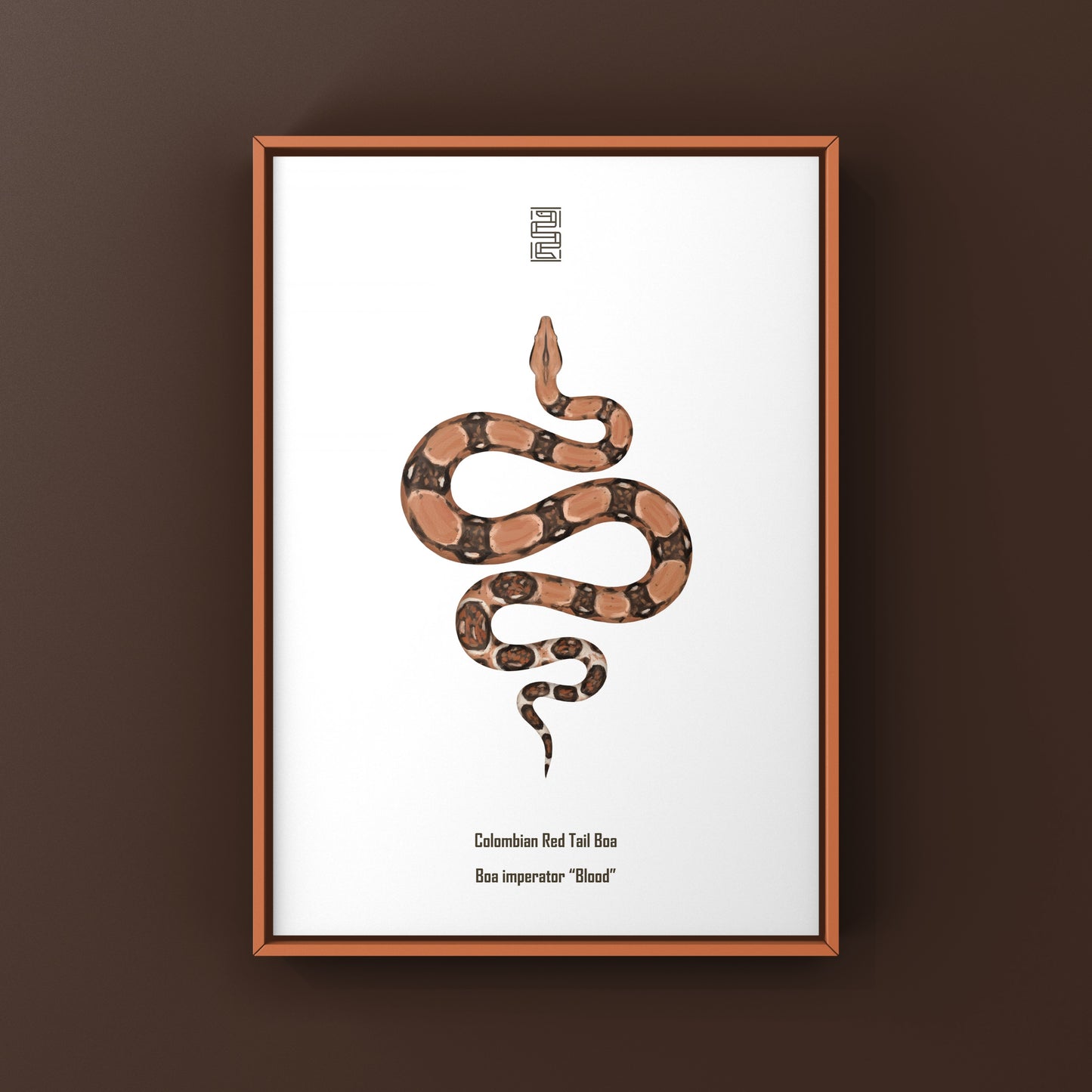 Colombian Red Tail Boa Art Print by The Silk Ranch showcasing a vibrant boa imperator snake illustration on white background