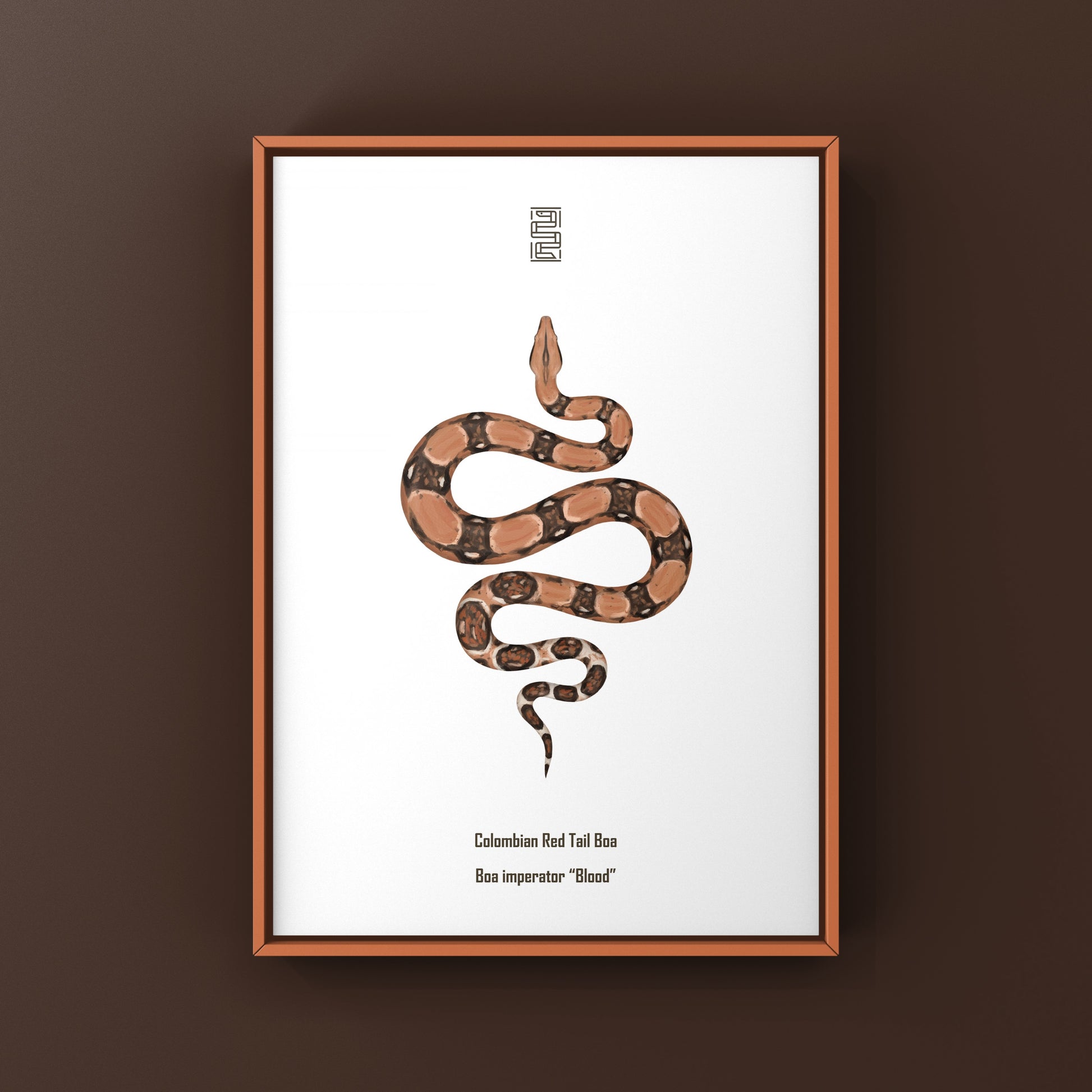 Colombian Red Tail Boa Art Print by The Silk Ranch showcasing a vibrant boa imperator snake illustration on white background