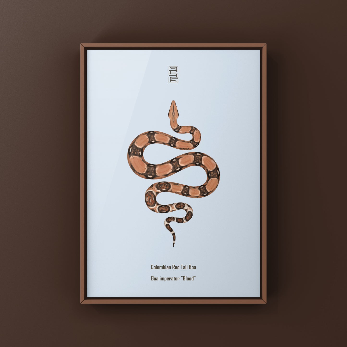 Colombian Red Tail Boa Art Print by The Silk Ranch showcasing detailed boa imperator snake artwork on paper.