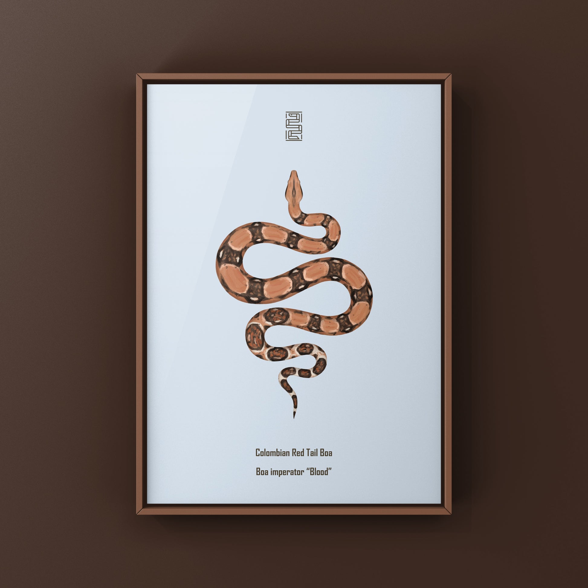 Colombian Red Tail Boa Art Print by The Silk Ranch showcasing detailed boa imperator snake artwork on paper.