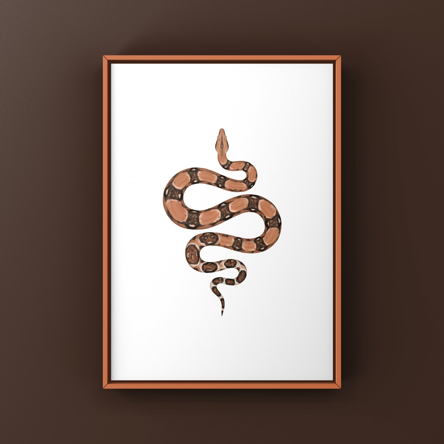 Colombian Red Tail Boa art print featuring a Boa imperator snake, detailed illustration by The Silk Ranch.