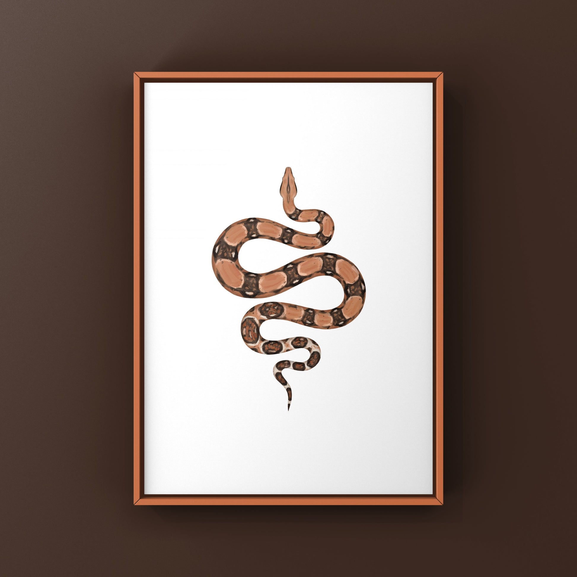 Colombian Red Tail Boa art print featuring a Boa imperator snake, detailed illustration by The Silk Ranch.