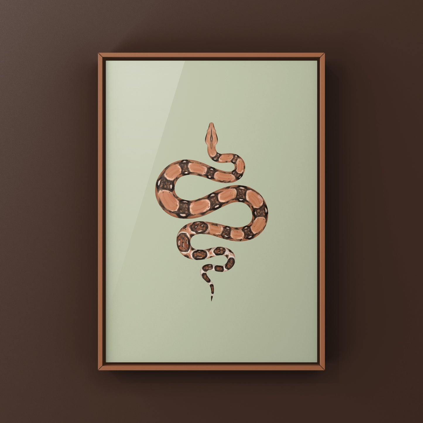 Colombian Red Tail Boa art print by The Silk Ranch showing detailed illustration of Boa imperator with vibrant red tail markings.