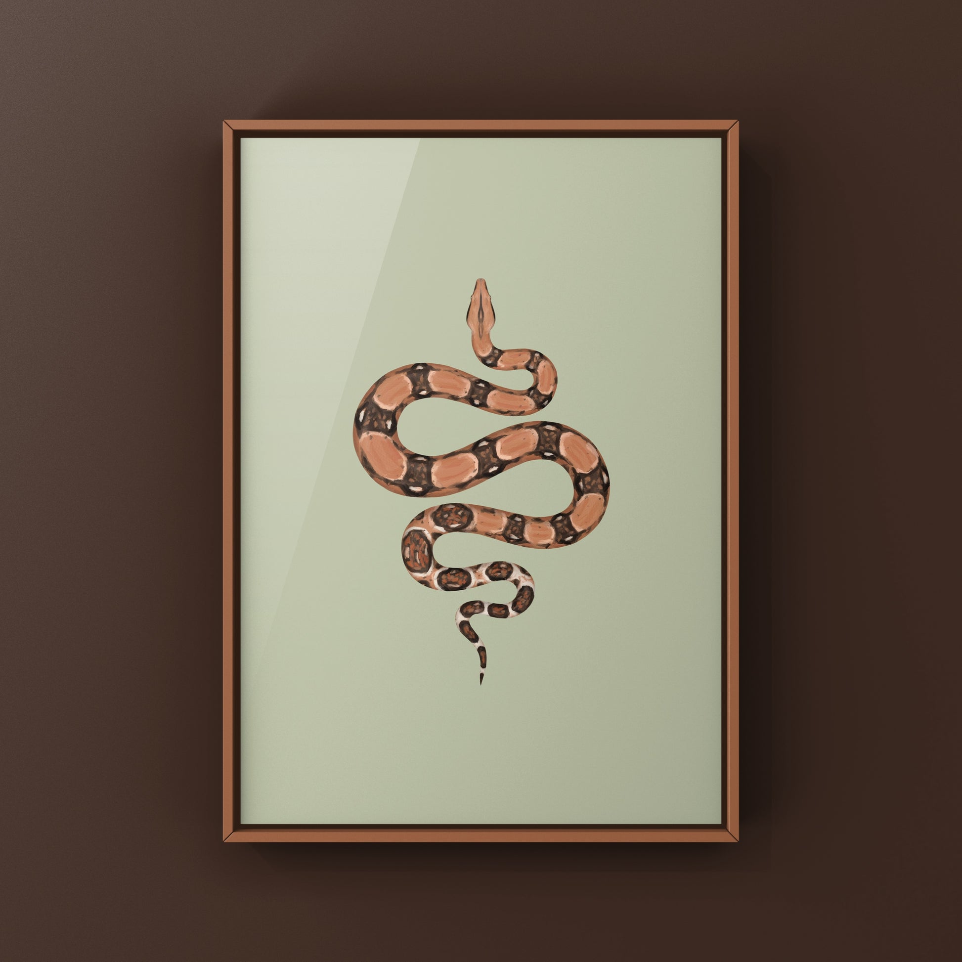 Colombian Red Tail Boa art print by The Silk Ranch showing detailed illustration of Boa imperator with vibrant red tail markings.