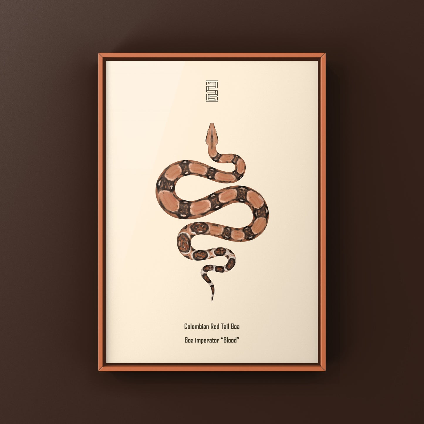 Colorful art print of a Colombian Red Tail Boa (Boa imperator) by The Silk Ranch, showcasing vibrant snake details.