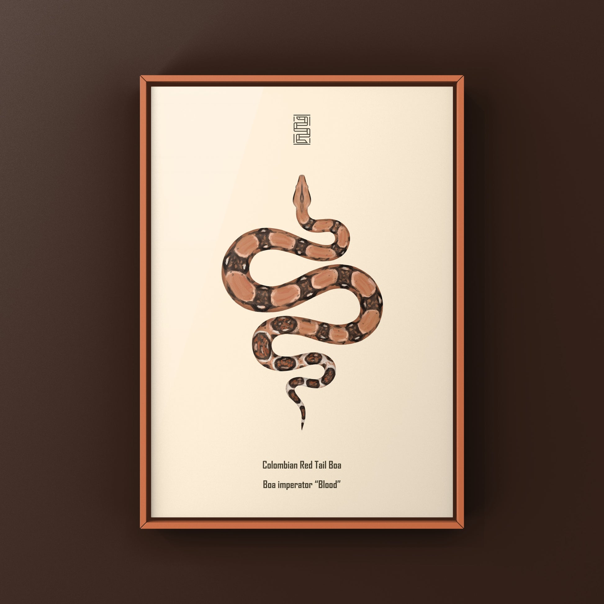Colorful art print of a Colombian Red Tail Boa (Boa imperator) by The Silk Ranch, showcasing vibrant snake details.