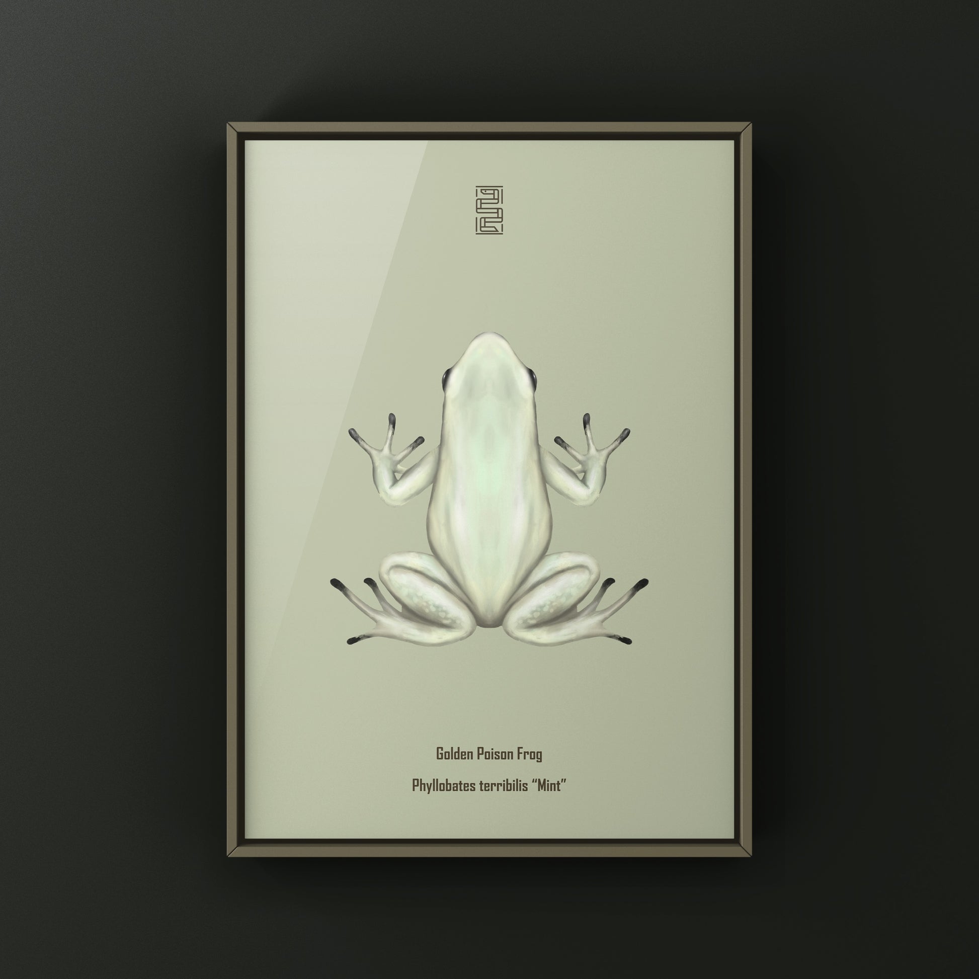 Mint golden poison frog art print featuring Phyllobates terribilis with vibrant green and yellow colors, created by The Silk Ranch.