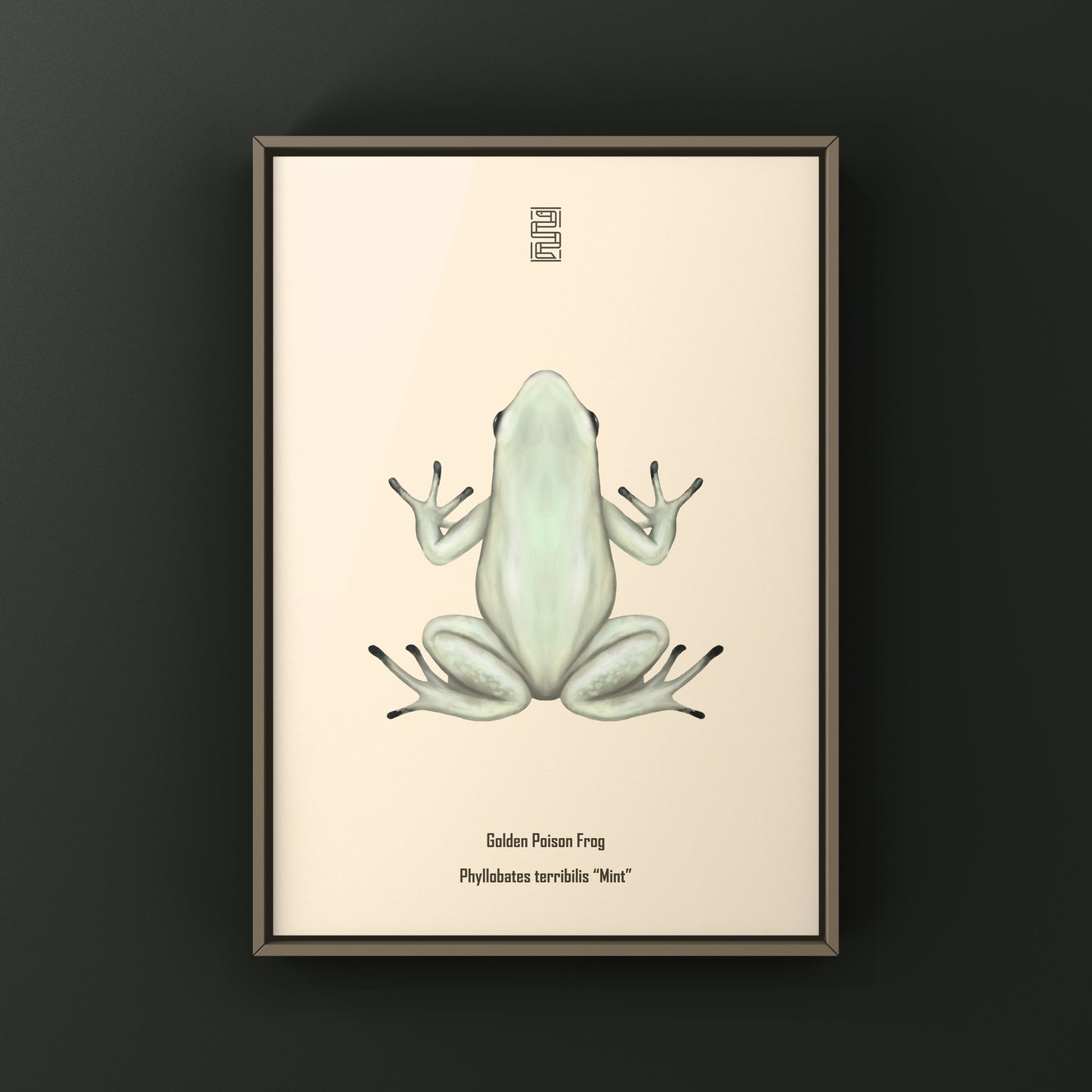 Mint Golden Poison Frog art print by The Silk Ranch showing a detailed illustration of Phyllobates terribilis on a white background.