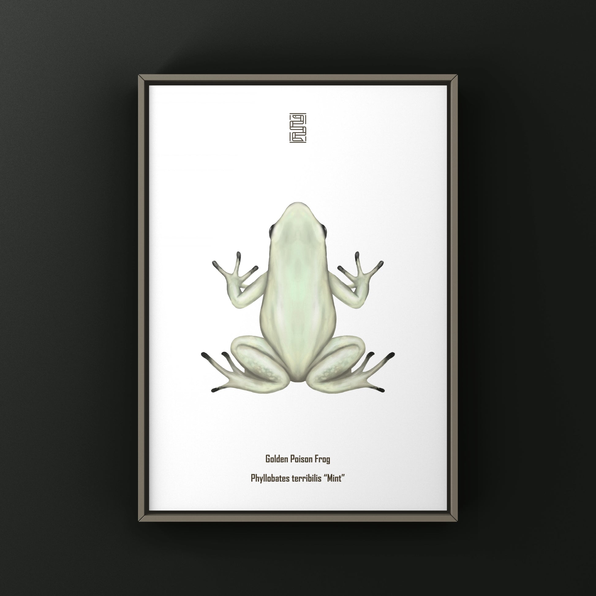 Mint golden poison frog art print by The Silk Ranch, showcasing vibrant Phyllobates terribilis illustration on high-quality paper.