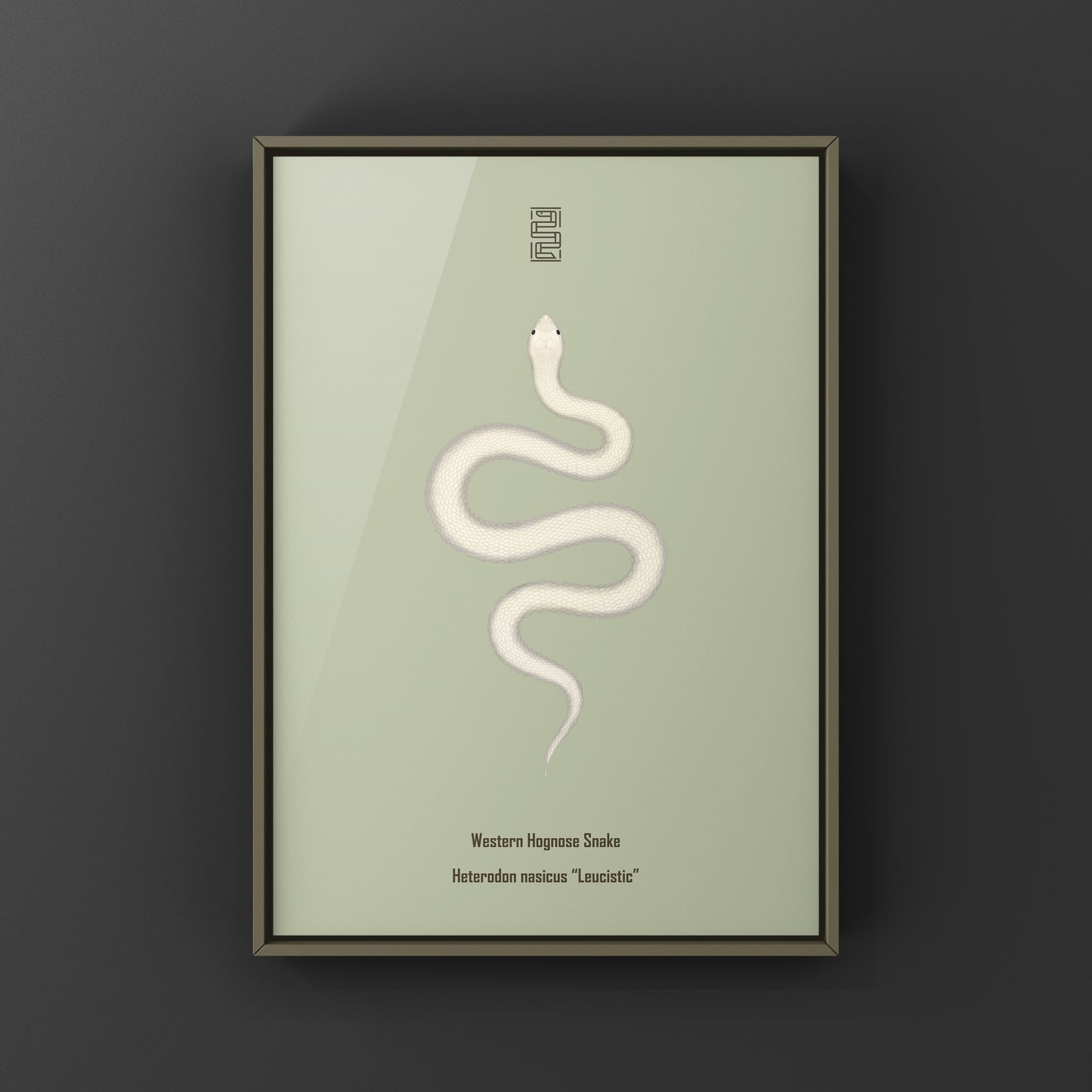 Leucistic Western Hognose Snake art print featuring a pale, white and pink coloration, showcasing detailed snake illustration.