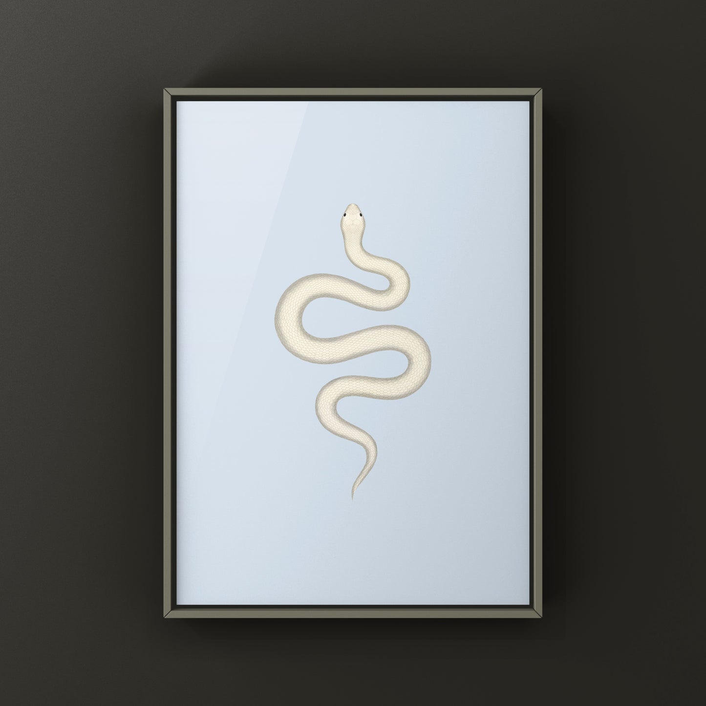Leucistic Western Hognose Snake art print by The Silk Ranch showing a pale, white and gray Heterodon nasicus snake on a neutral background.