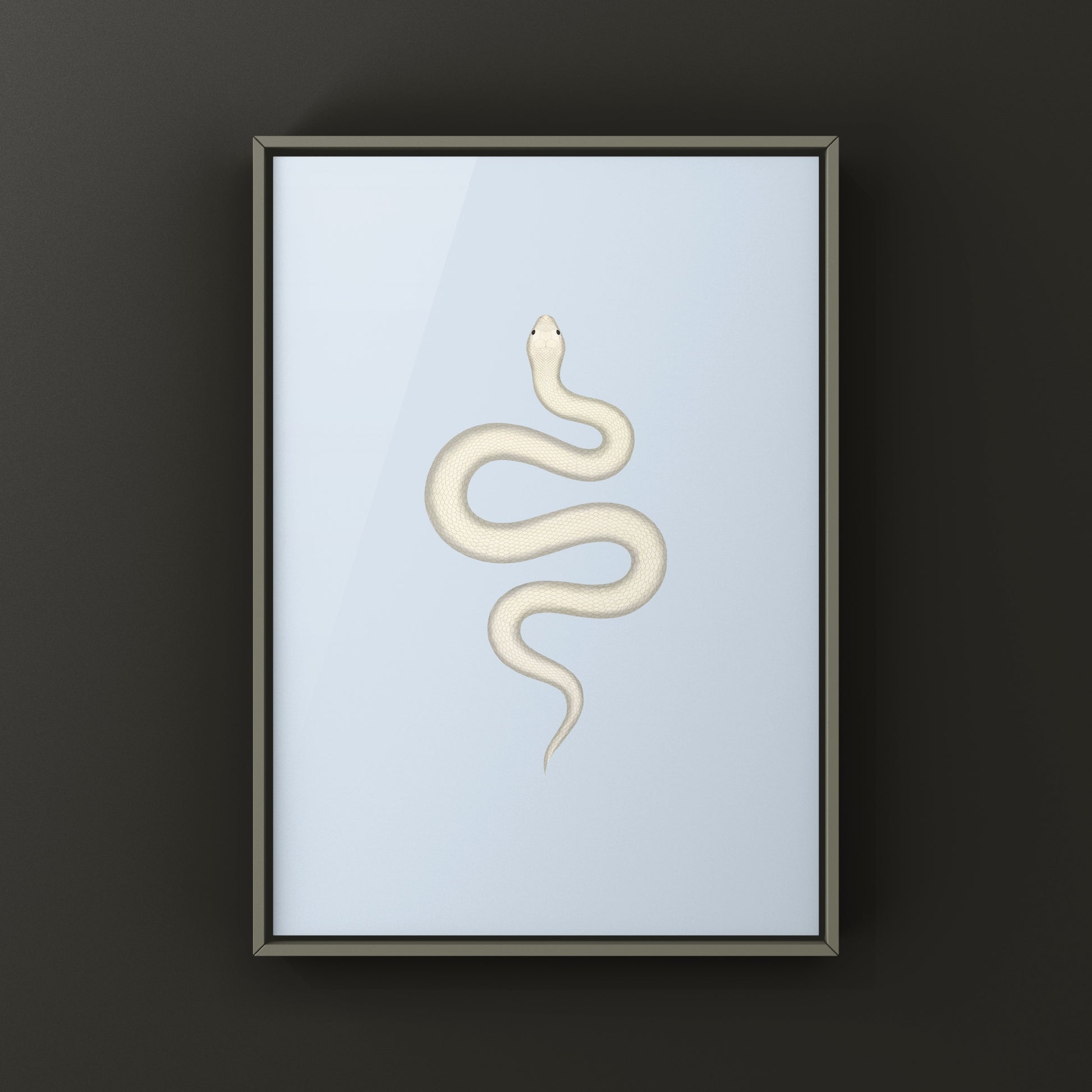 Leucistic Western Hognose Snake art print by The Silk Ranch showing a pale, white and gray Heterodon nasicus snake on a neutral background.