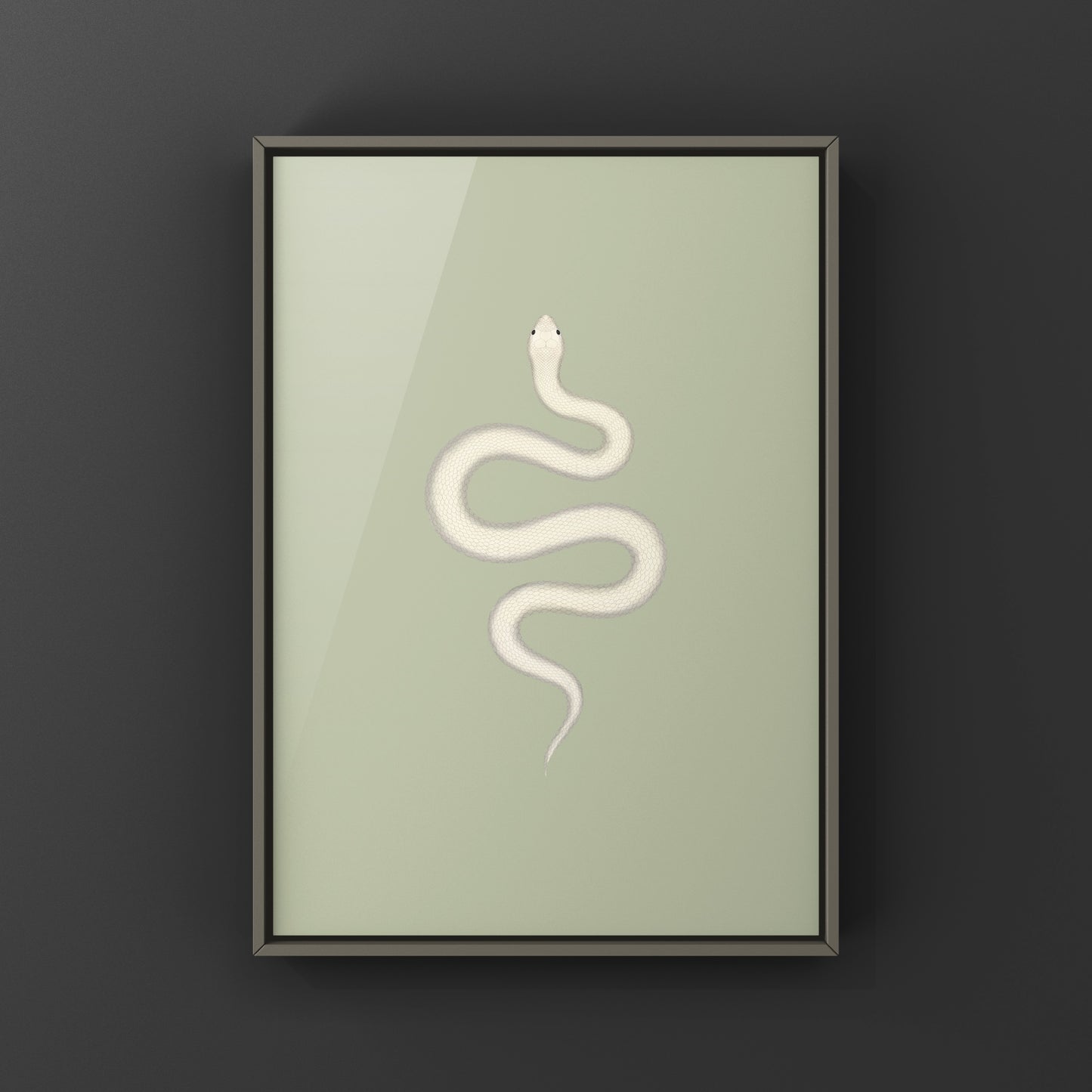 Leucistic Western Hognose Snake art print by The Silk Ranch, showcasing a detailed illustration of the Heterodon nasicus in natural colors.