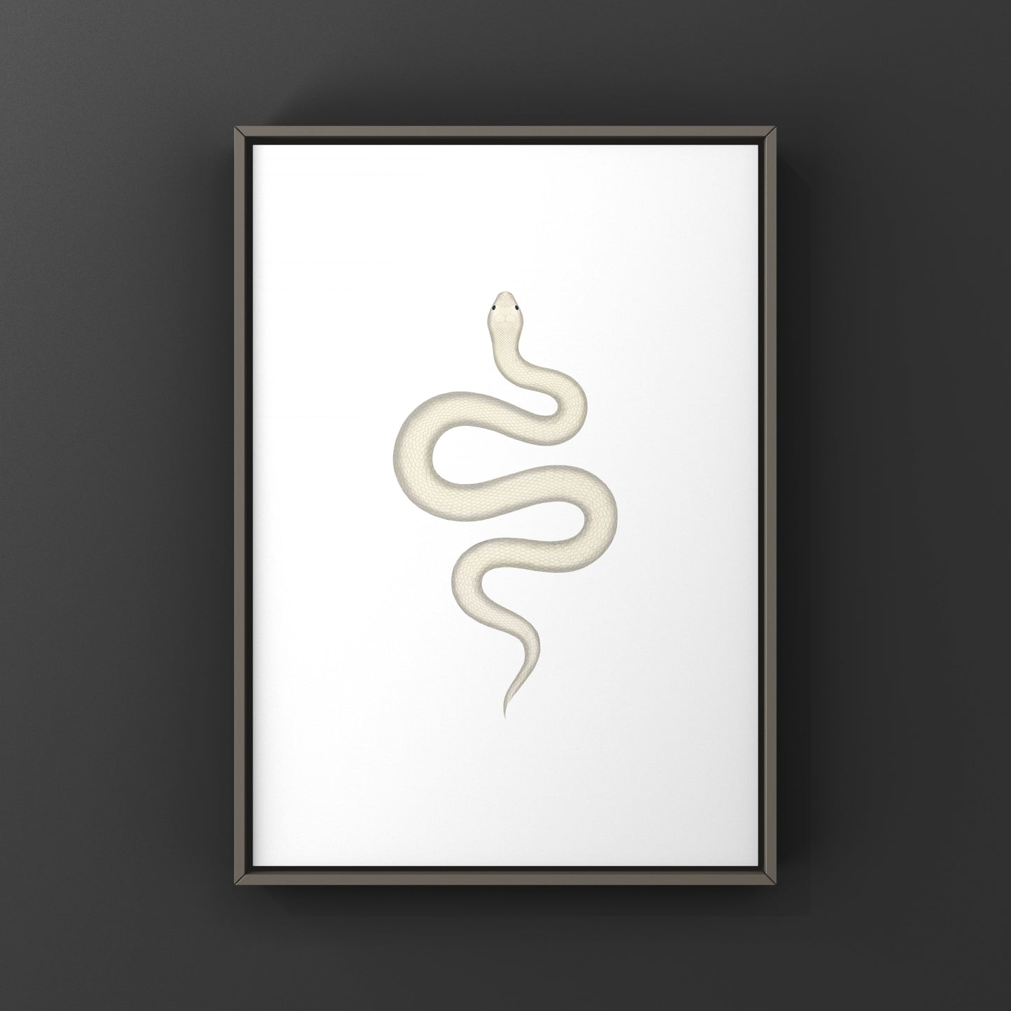 Leucistic Western Hognose Snake art print by The Silk Ranch, showcasing a detailed illustration of the Heterodon nasicus species.