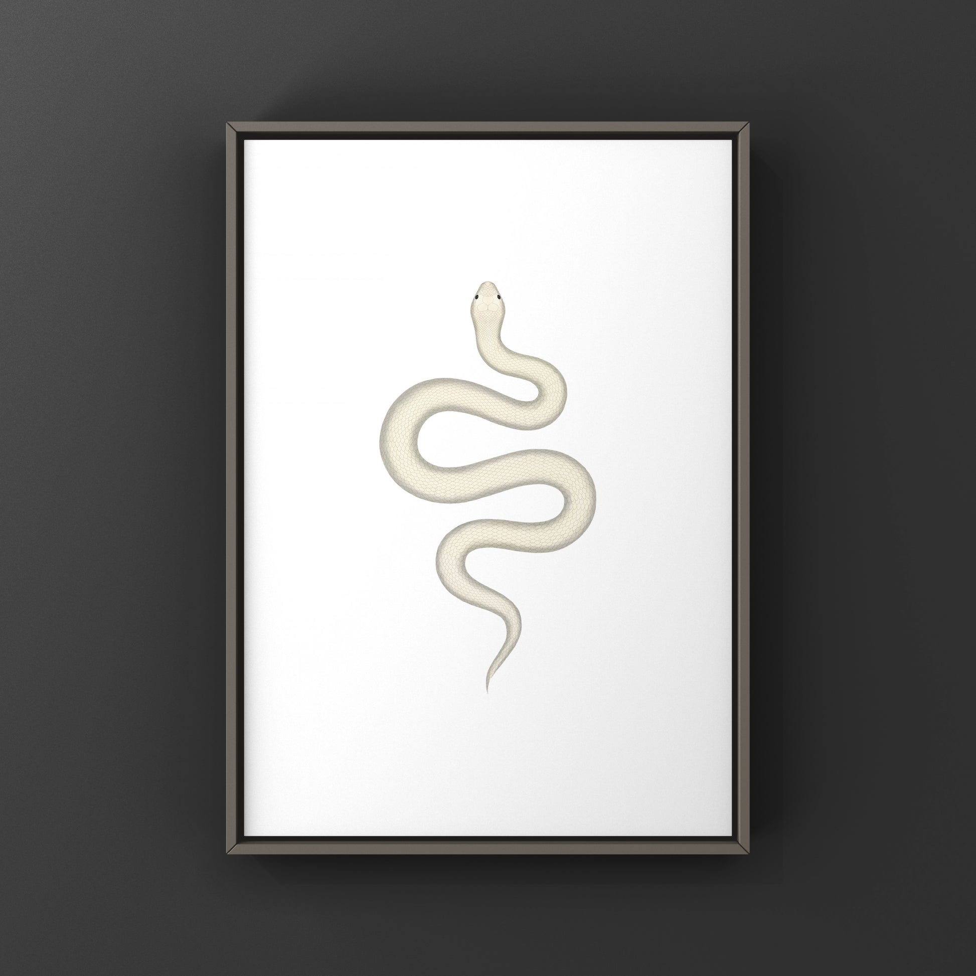 Leucistic Western Hognose Snake art print by The Silk Ranch, showcasing a detailed illustration of the Heterodon nasicus species.